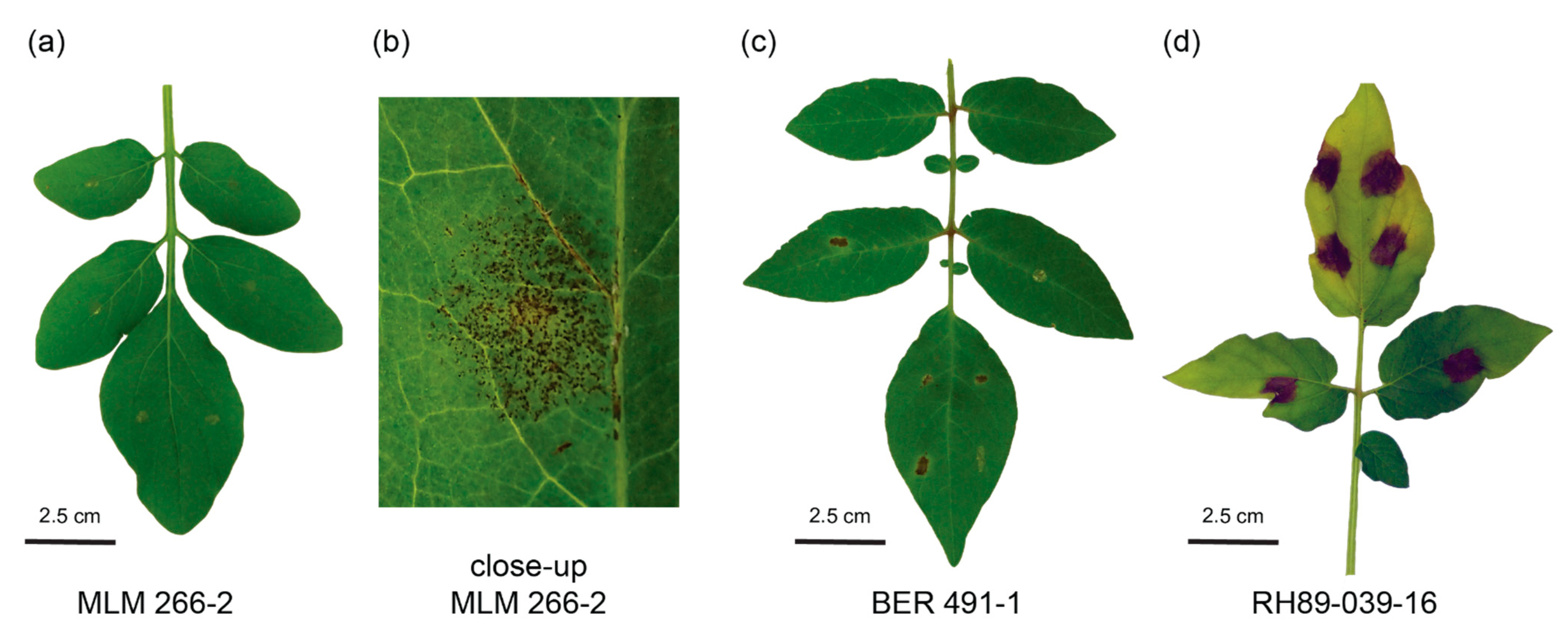 Biology 10 00892 g002