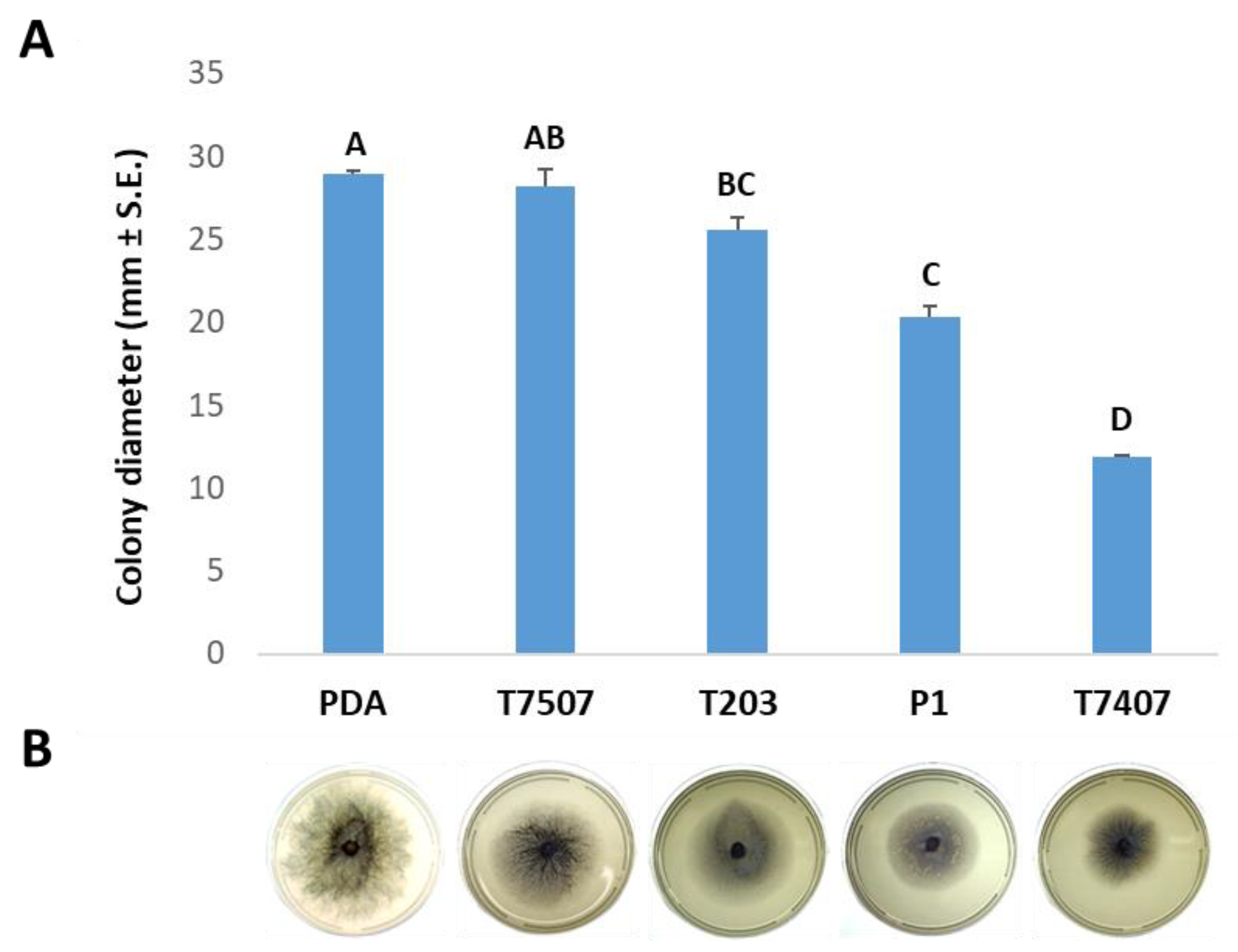 Biology 10 00897 g002