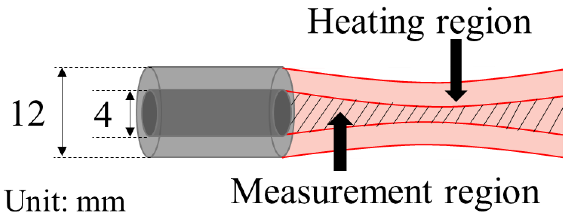 Biology 10 00901 g001