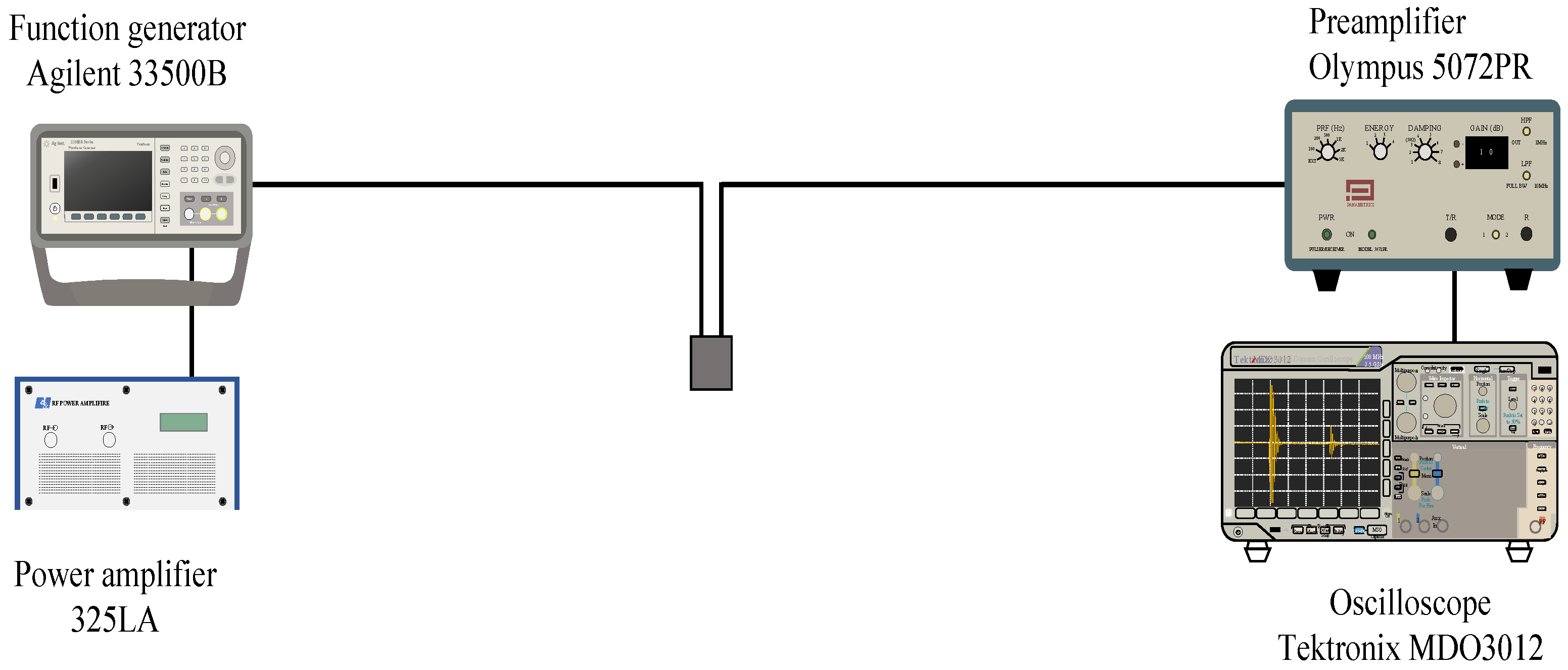 Biology 10 00901 g003