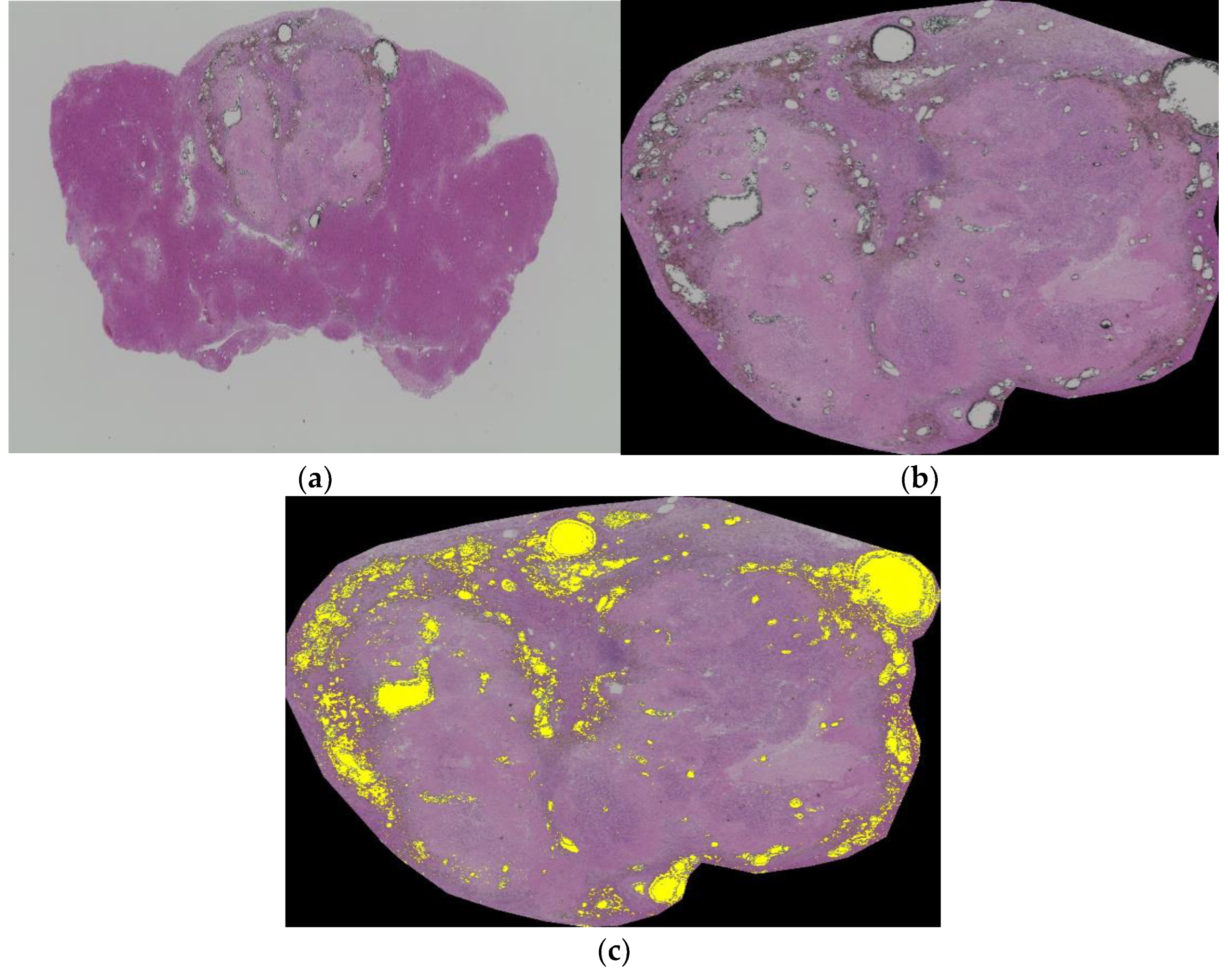 Biology 10 00901 g007
