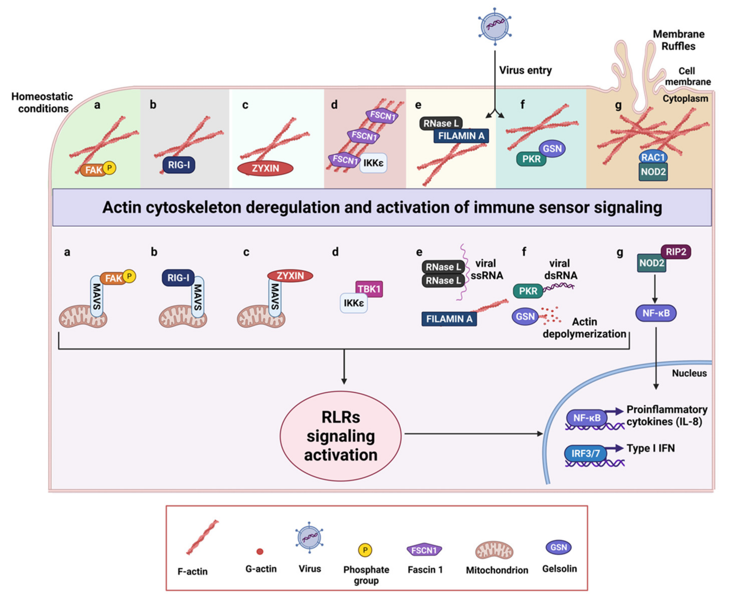 Biology 10 00913 g002