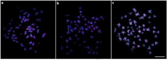 Biology 10 00922 g0a1 550