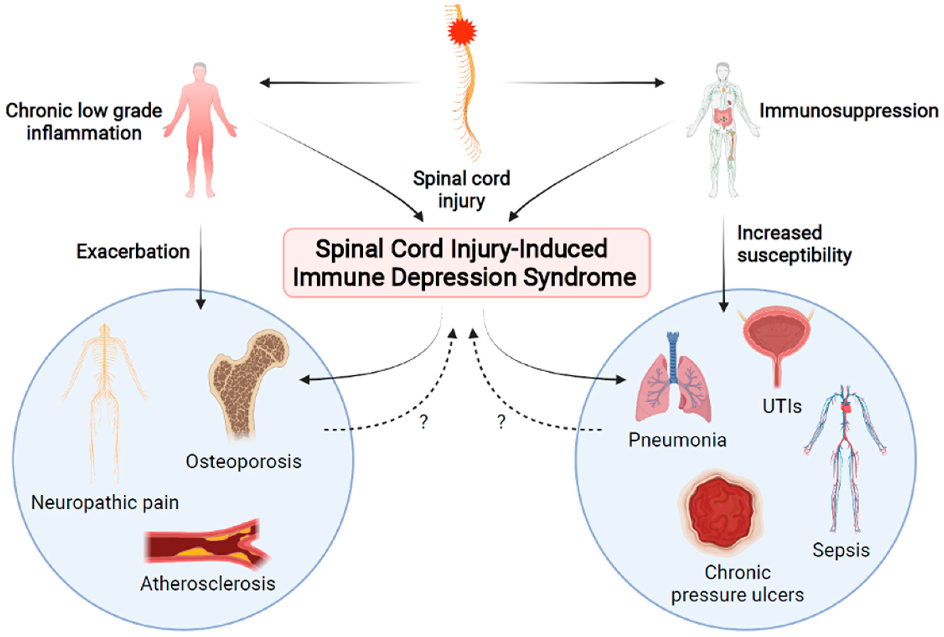 Biology 10 00928 g001 Biology 10 00928 g001