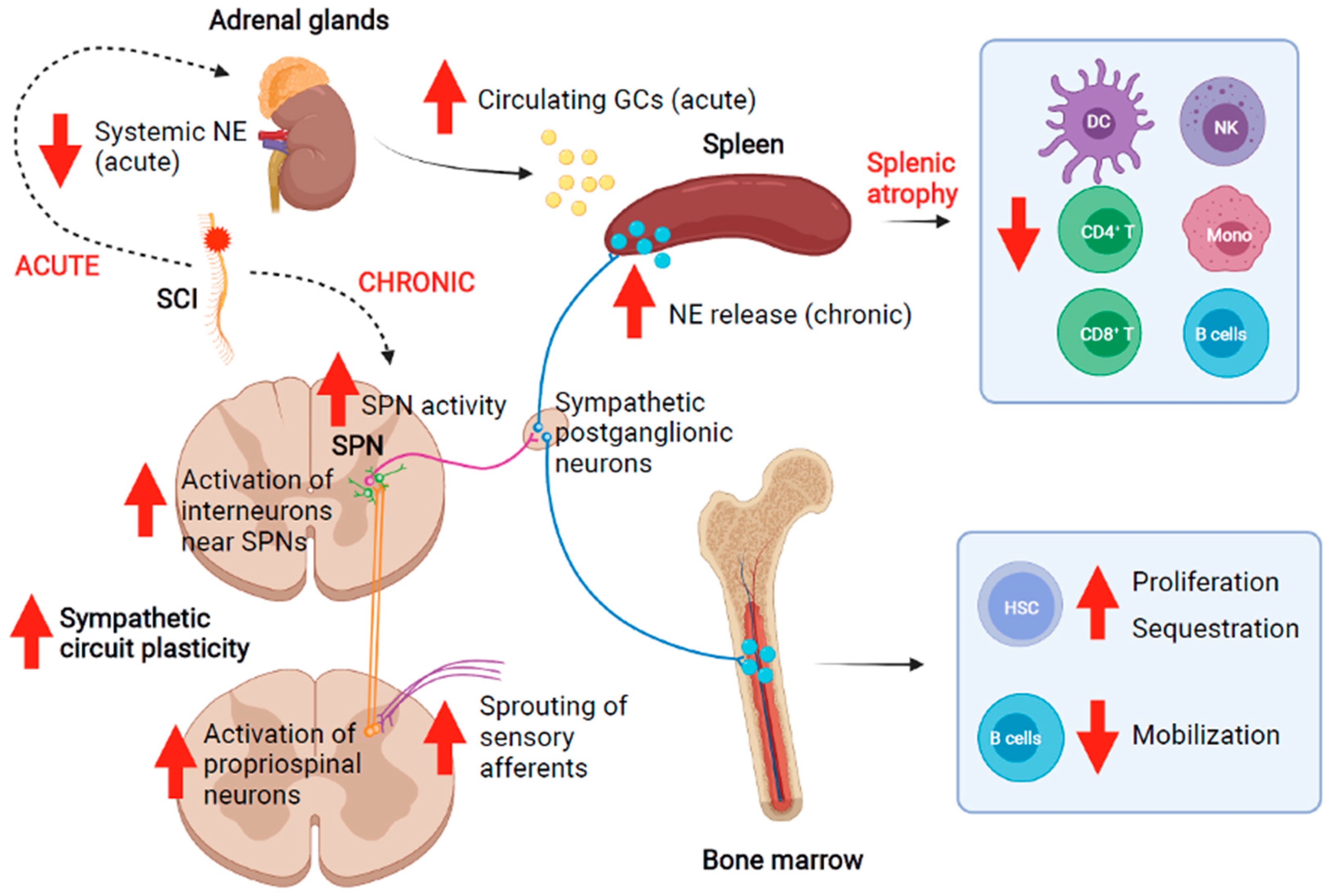 Biology 10 00928 g002 Biology 10 00928 g002