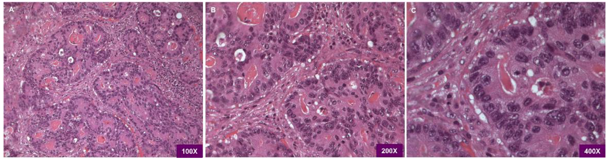 Biology 10 00929 g001