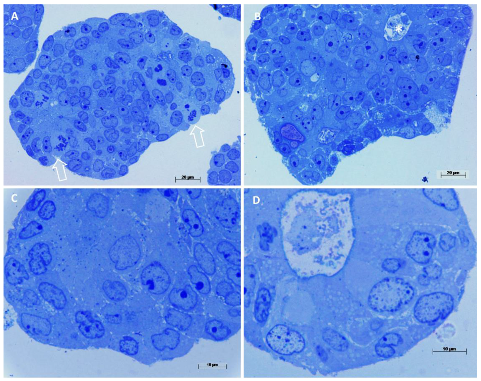 Biology 10 00929 g003