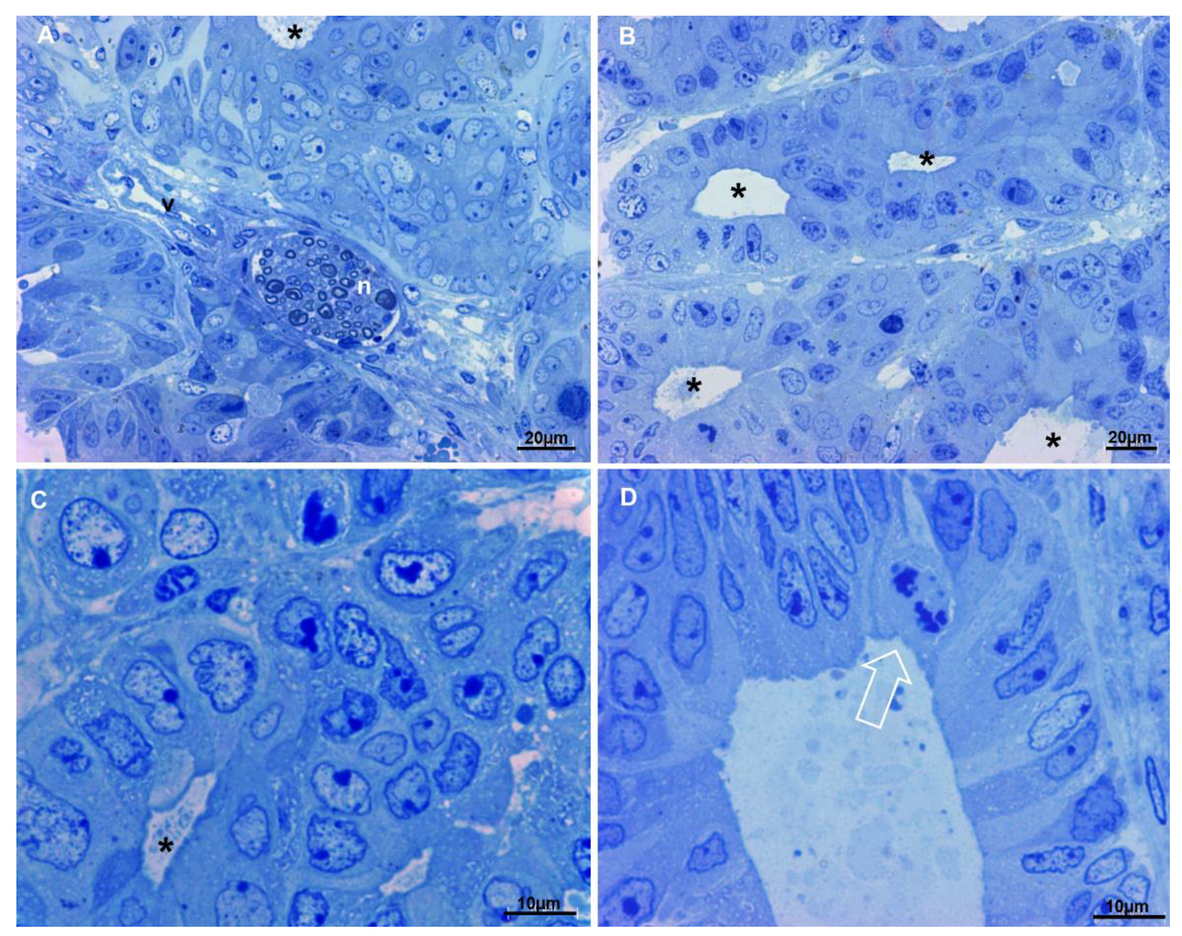 Biology 10 00929 g004