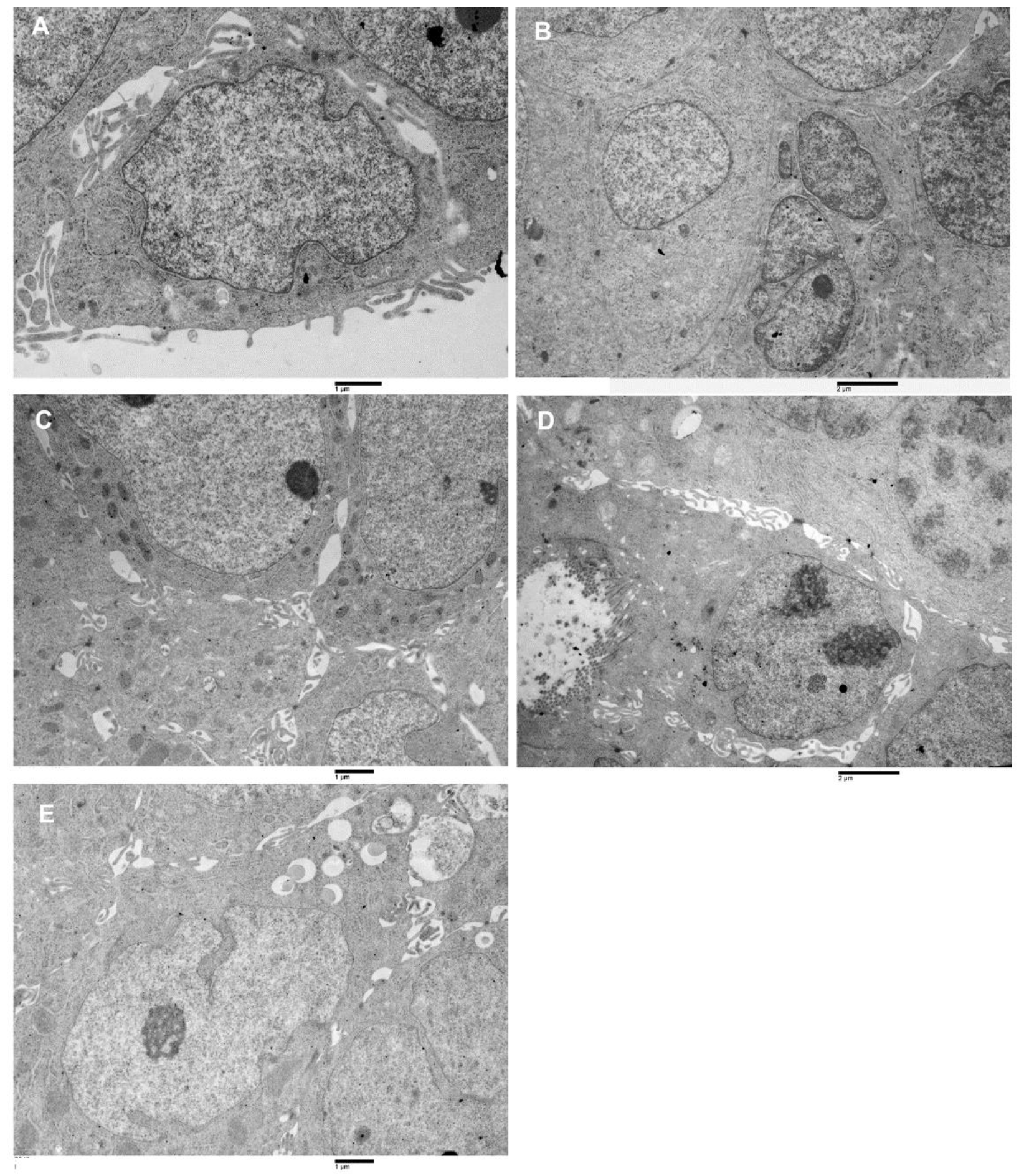 Biology 10 00929 g005
