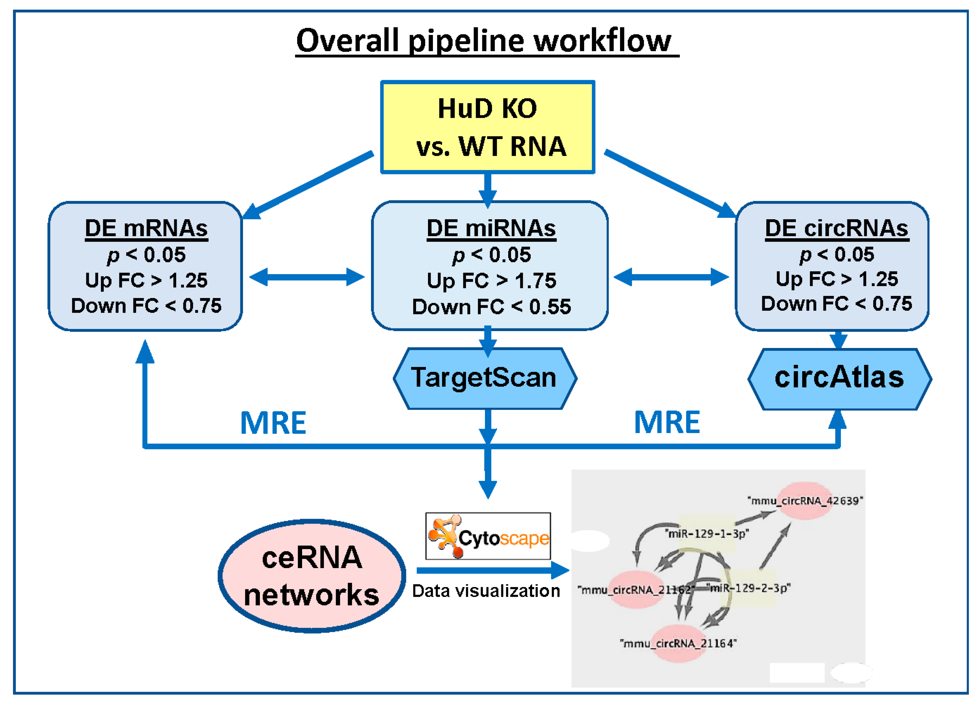 Biology 10 00939 g001