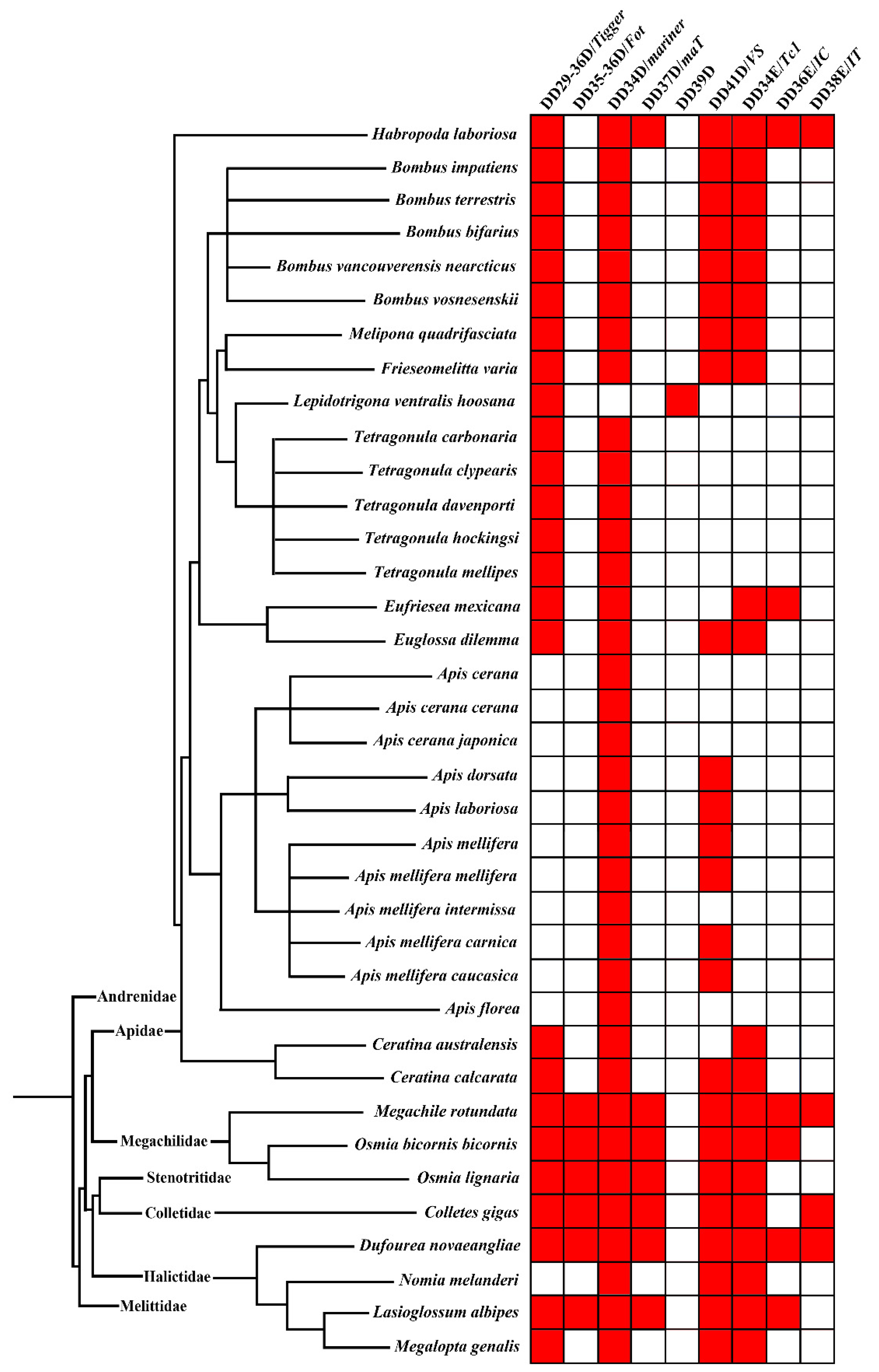 Biology 10 00940 g001
