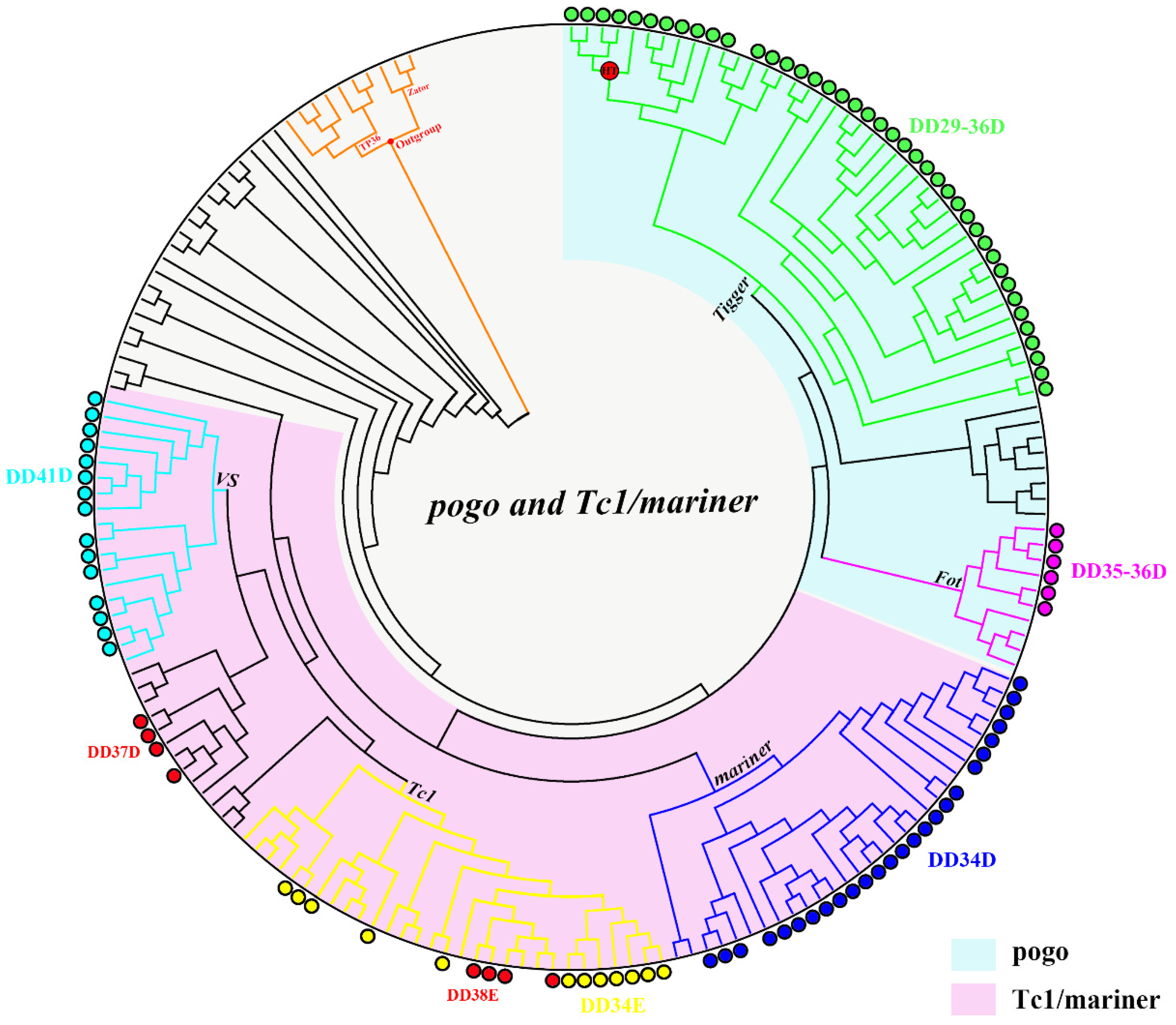 Biology 10 00940 g002