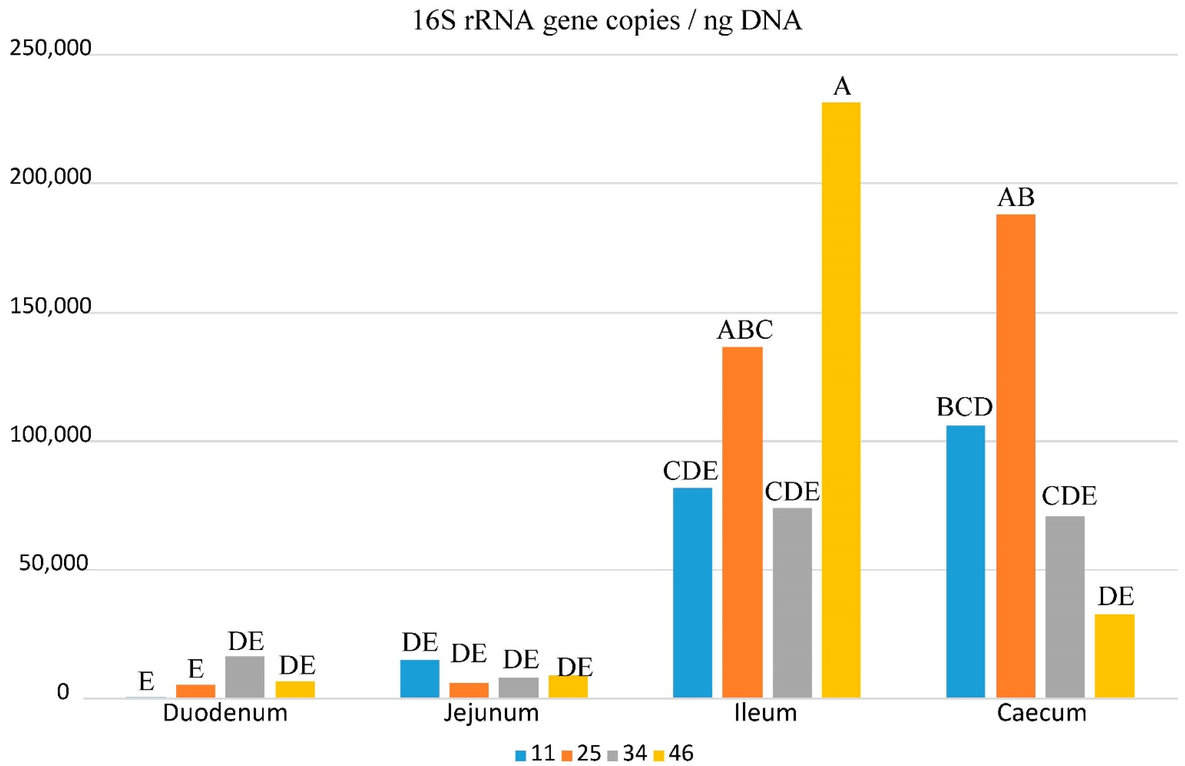 Biology 10 00942 g001