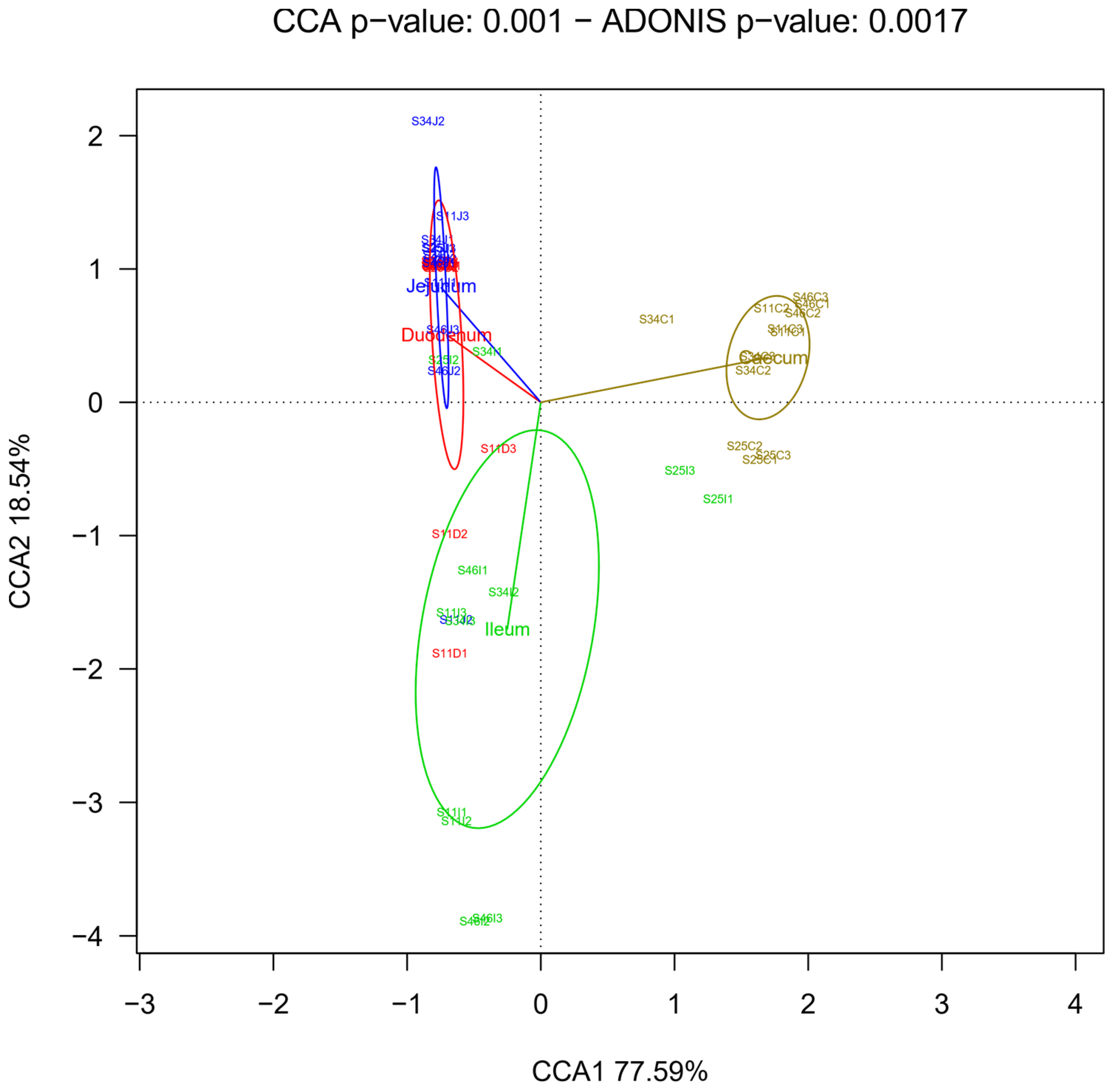 Biology 10 00942 g003