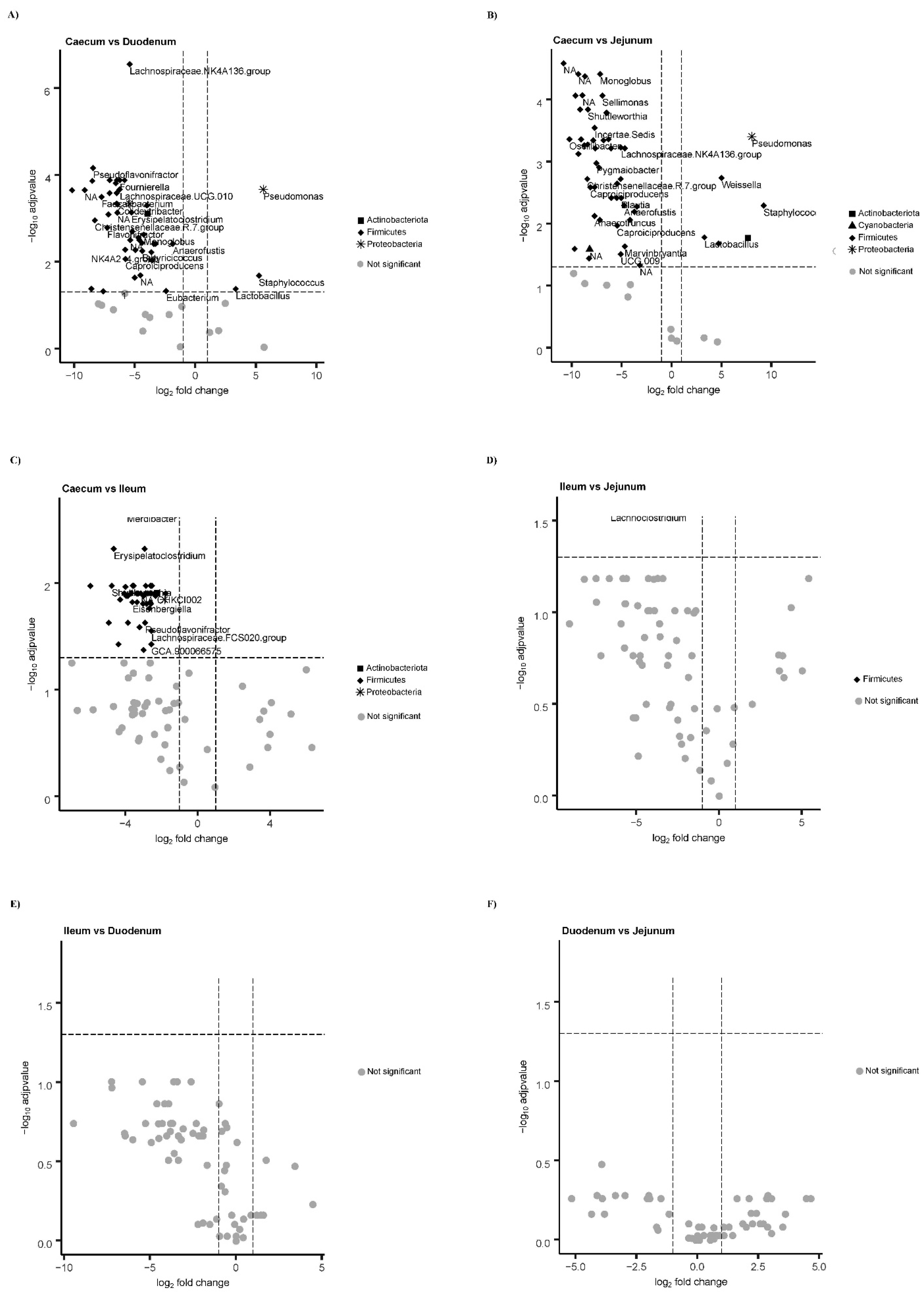 Biology 10 00942 g004