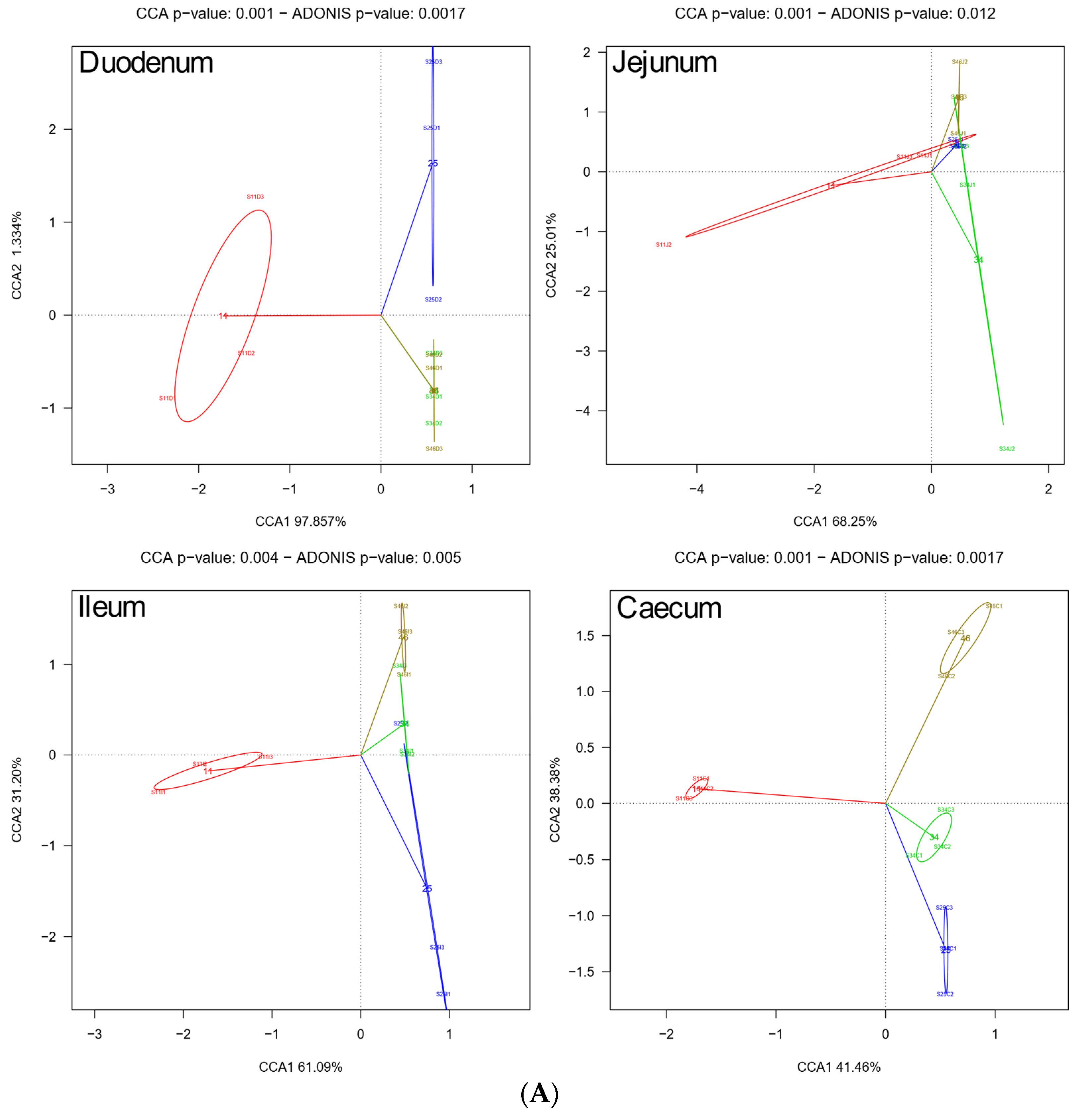 Biology 10 00942 g005a