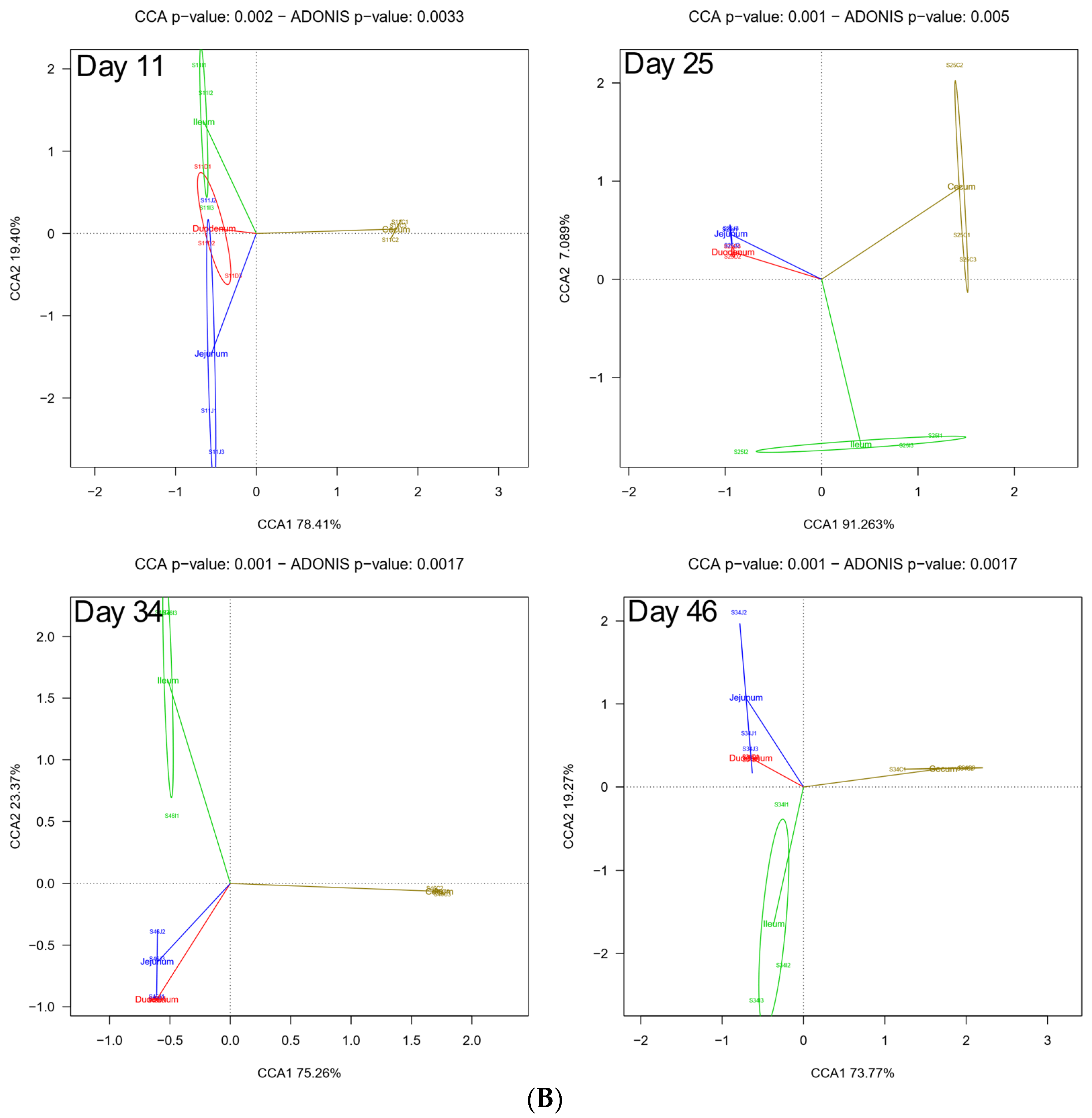 Biology 10 00942 g005b