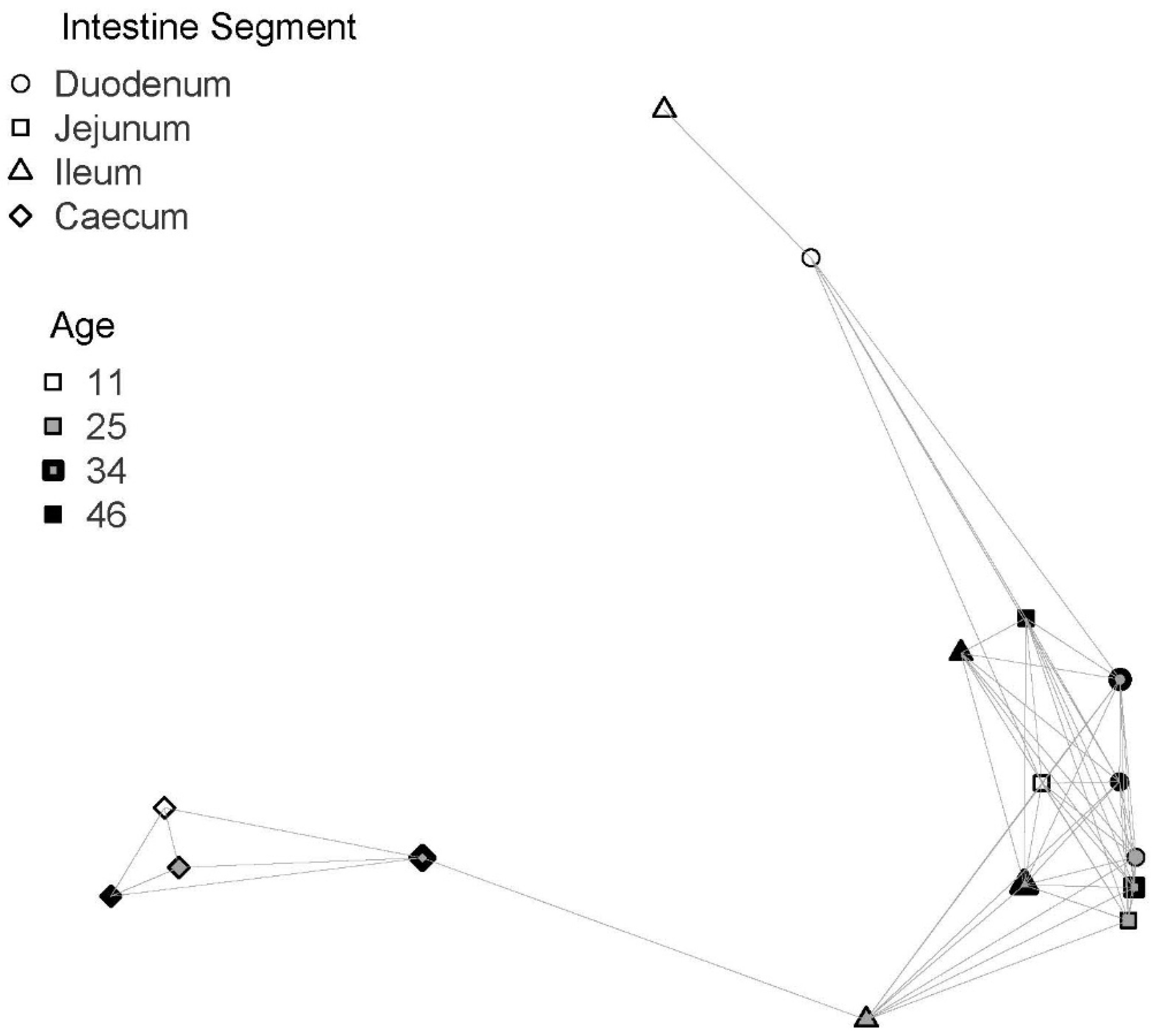 Biology 10 00942 g006
