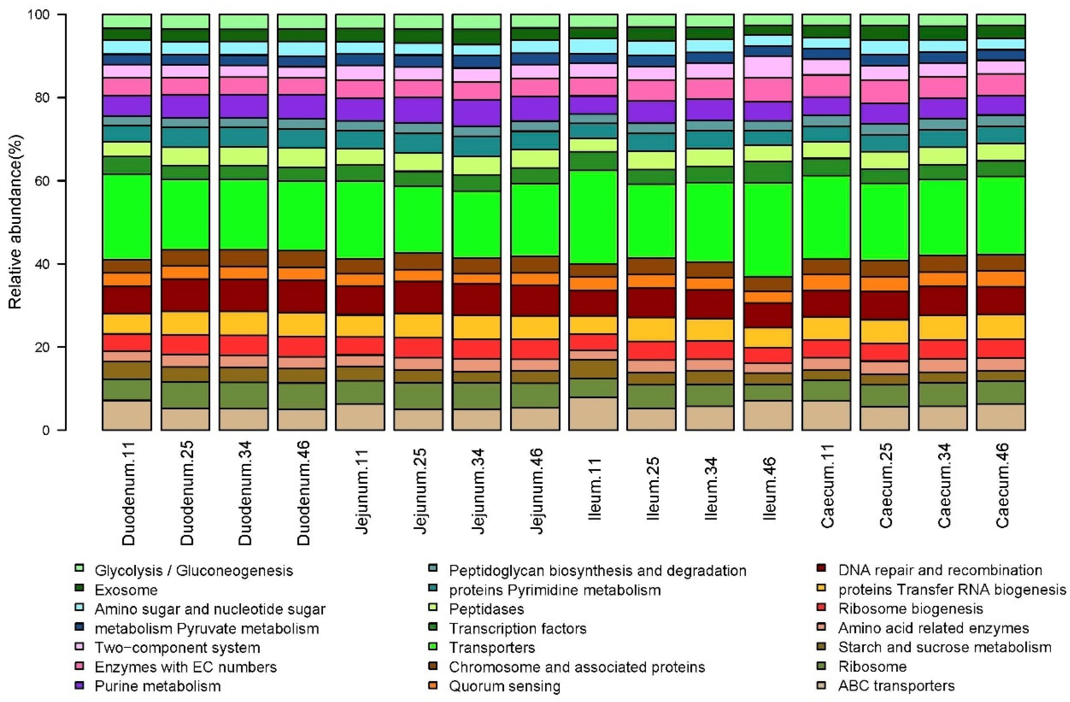 Biology 10 00942 g008