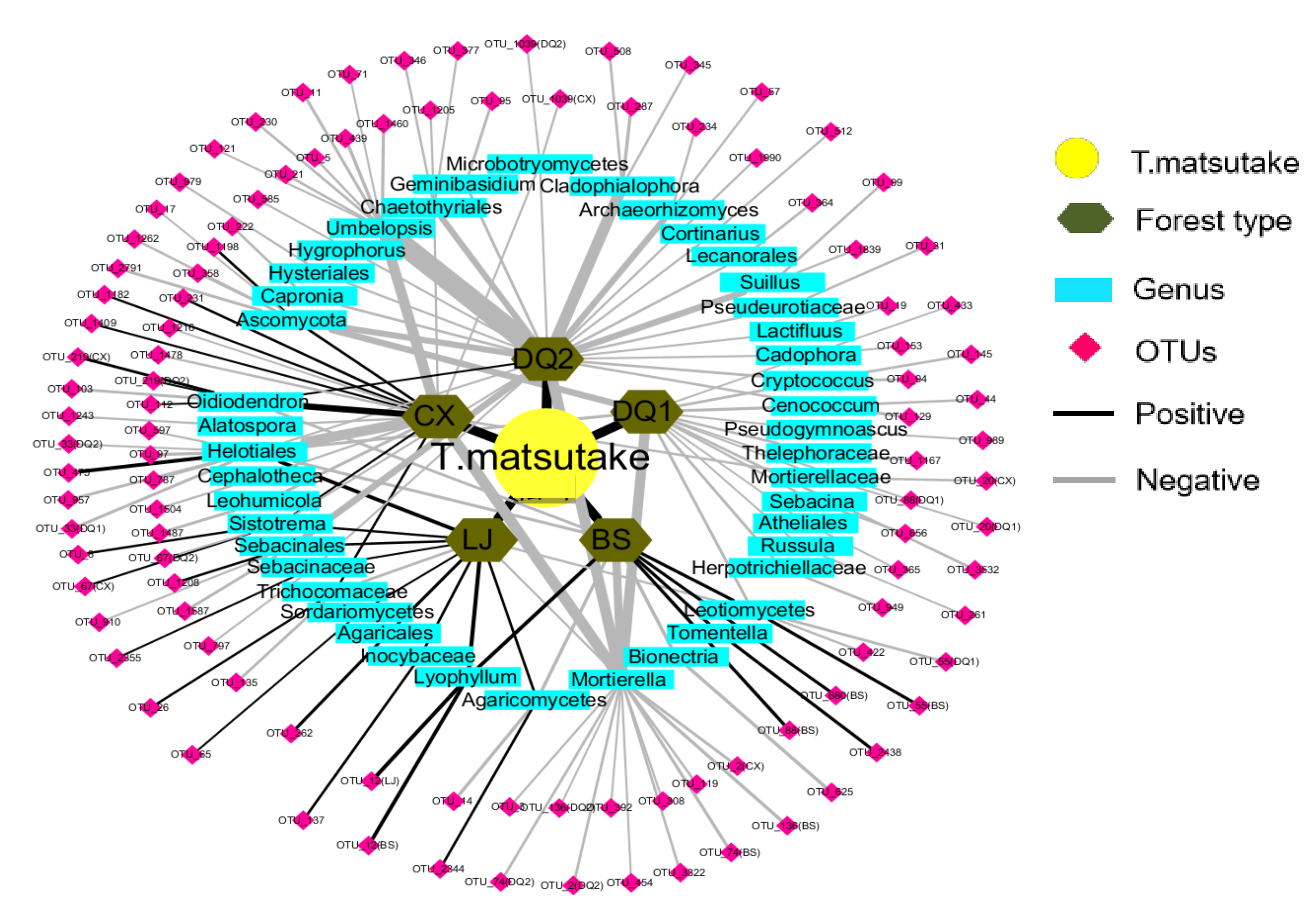 Biology 10 01051 g004