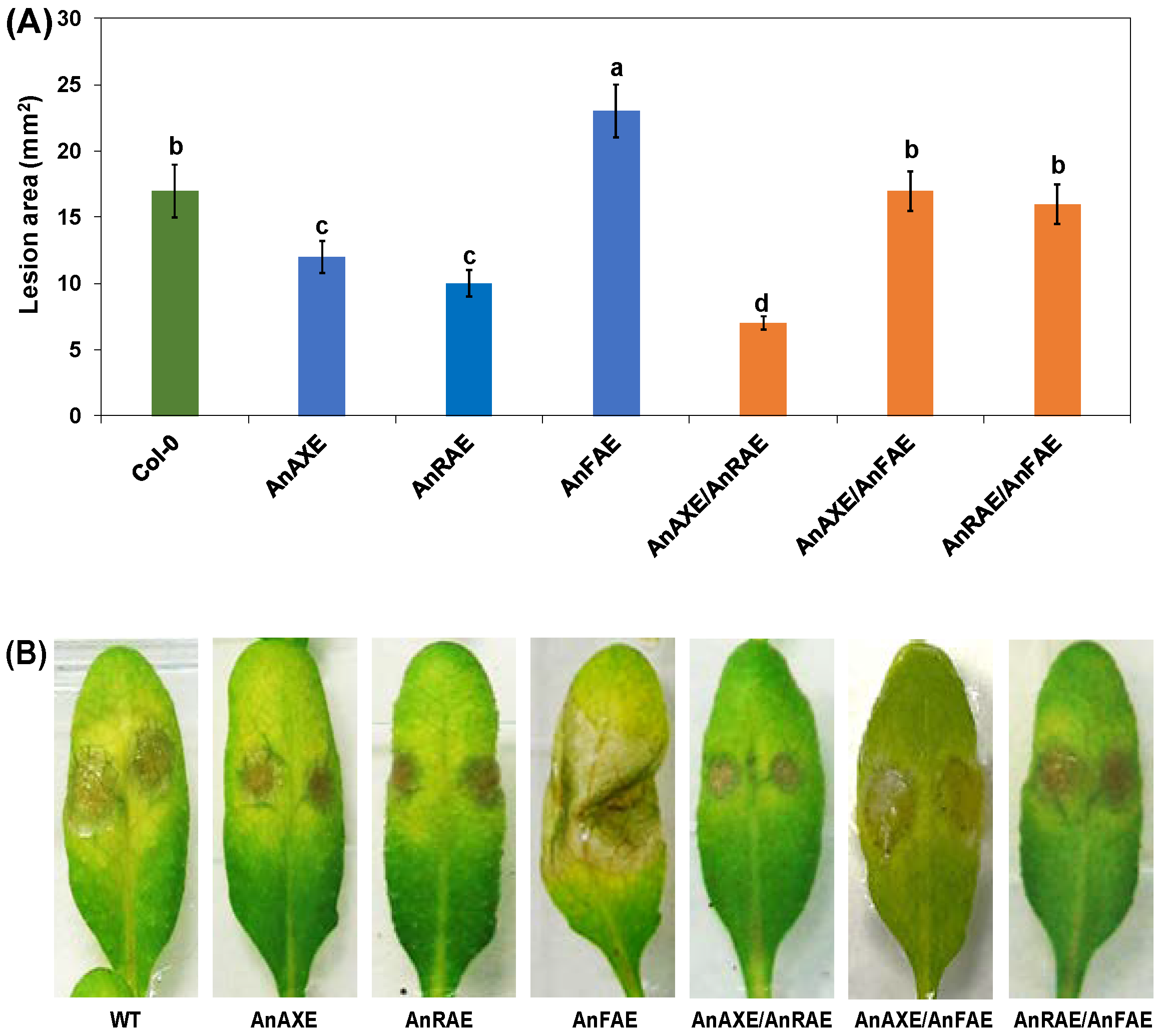 Biology 10 01070 g003