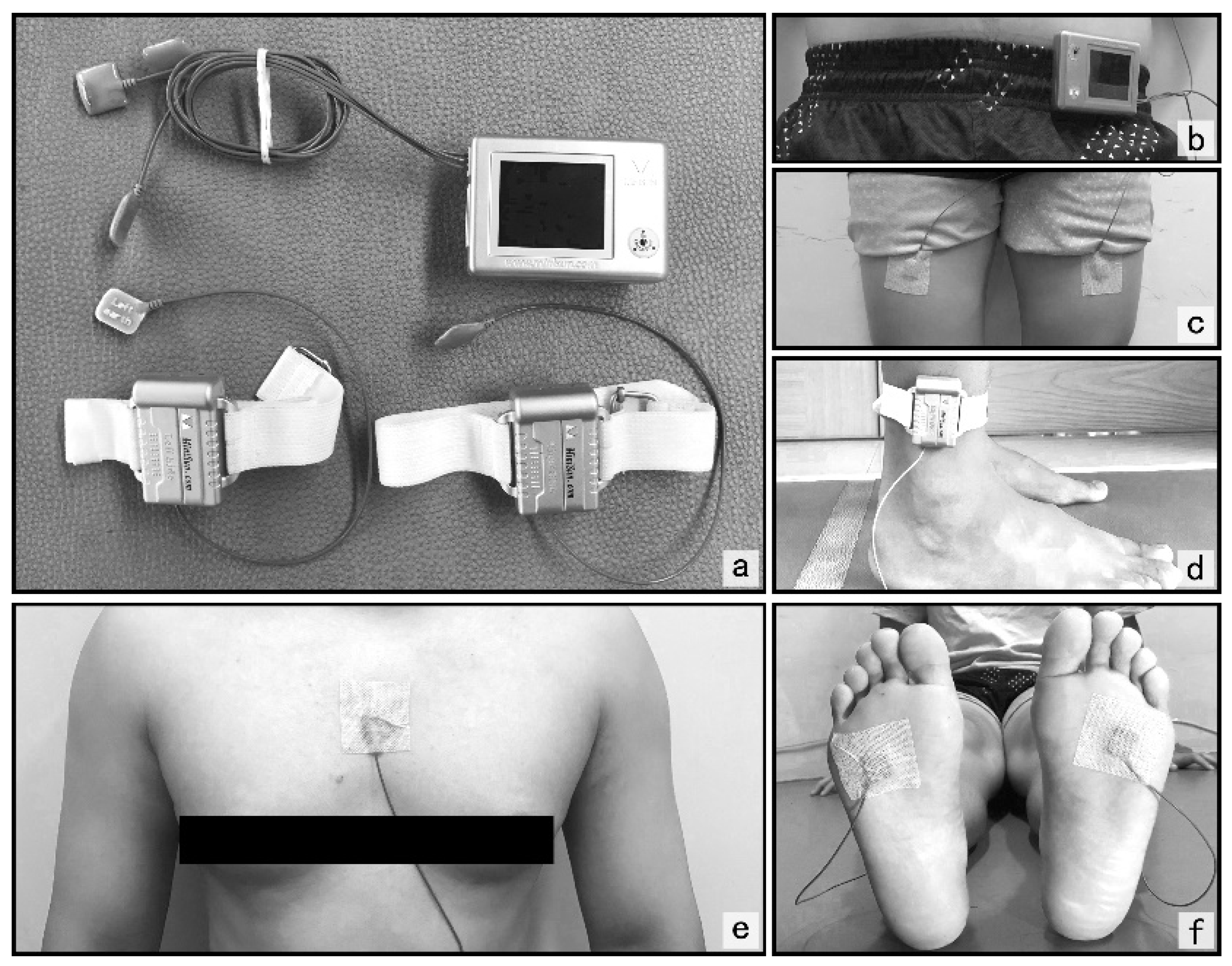 Biology 10 01083 g001