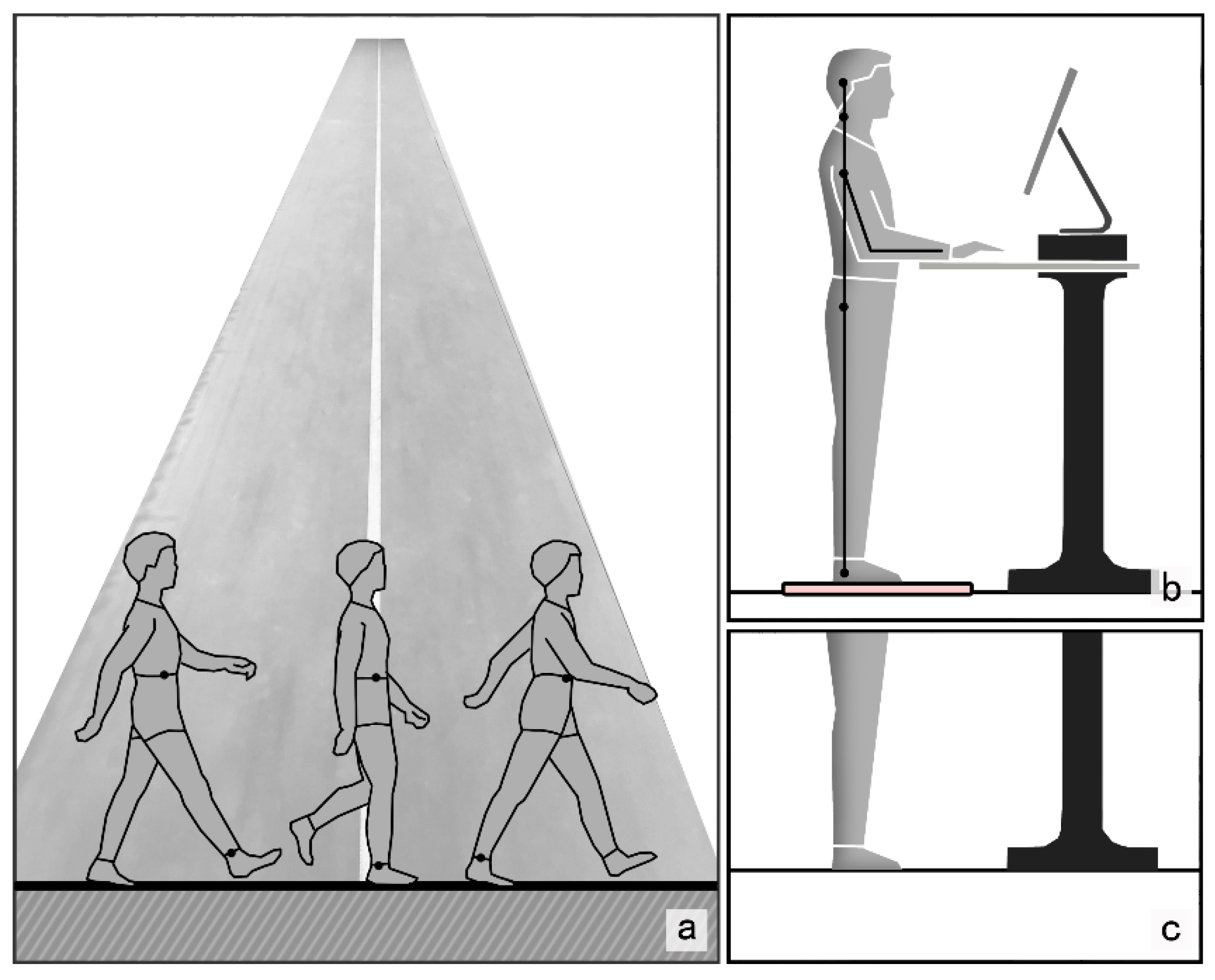 Biology 10 01083 g002