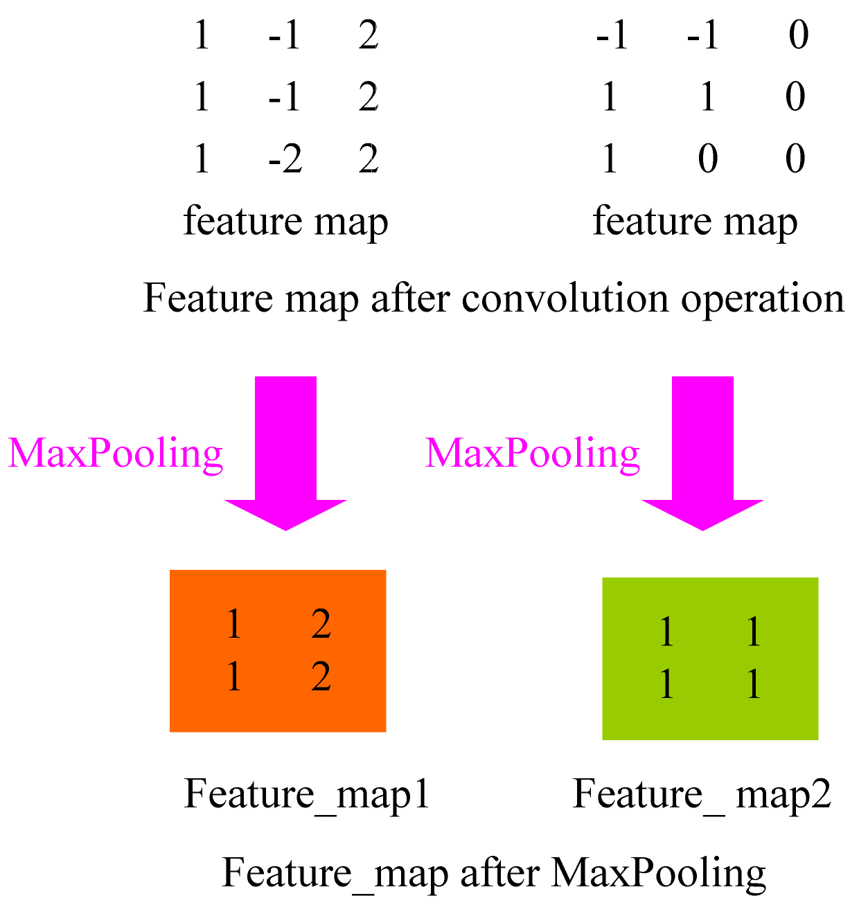 Biology 10 01084 g008