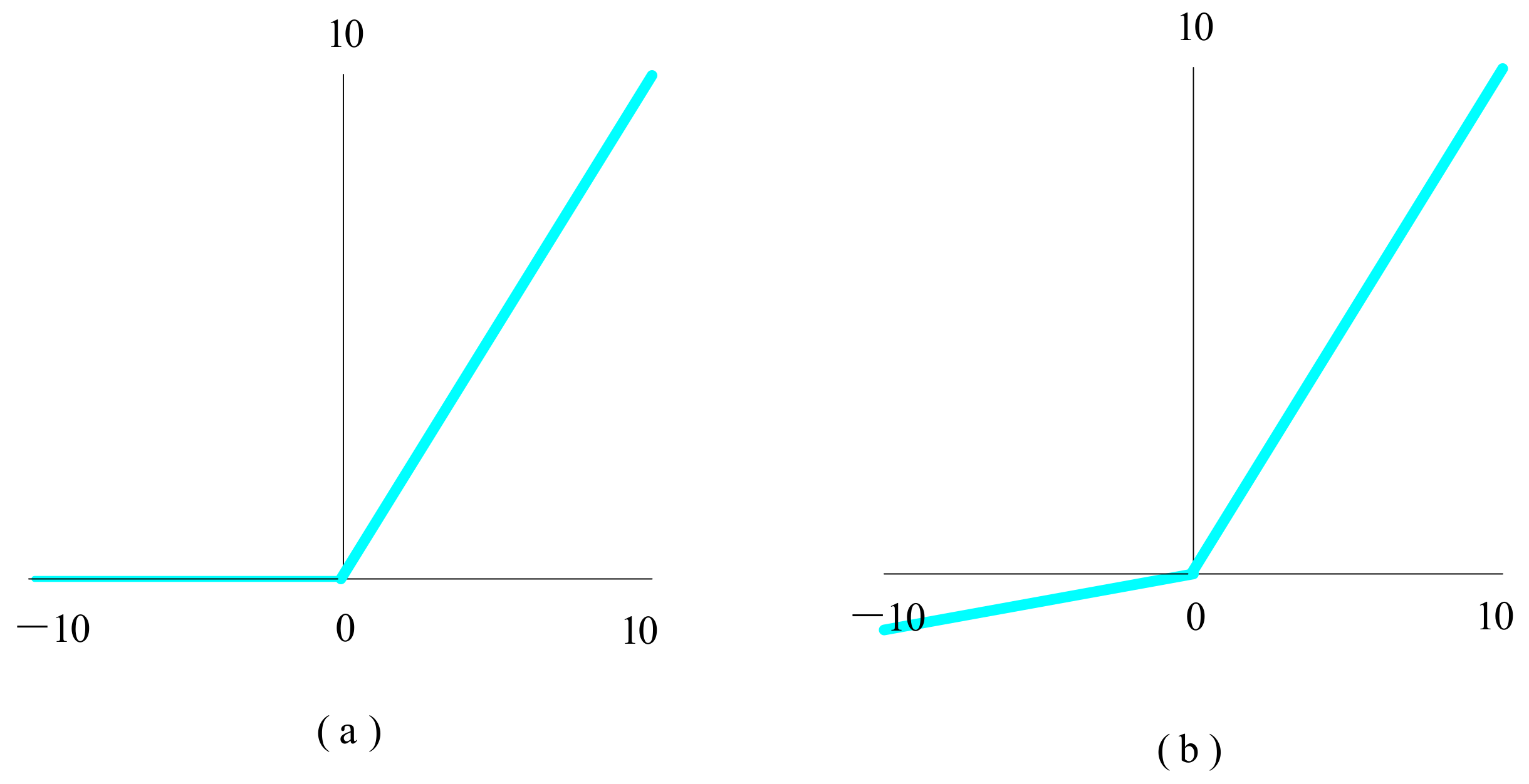 Biology 10 01084 g012