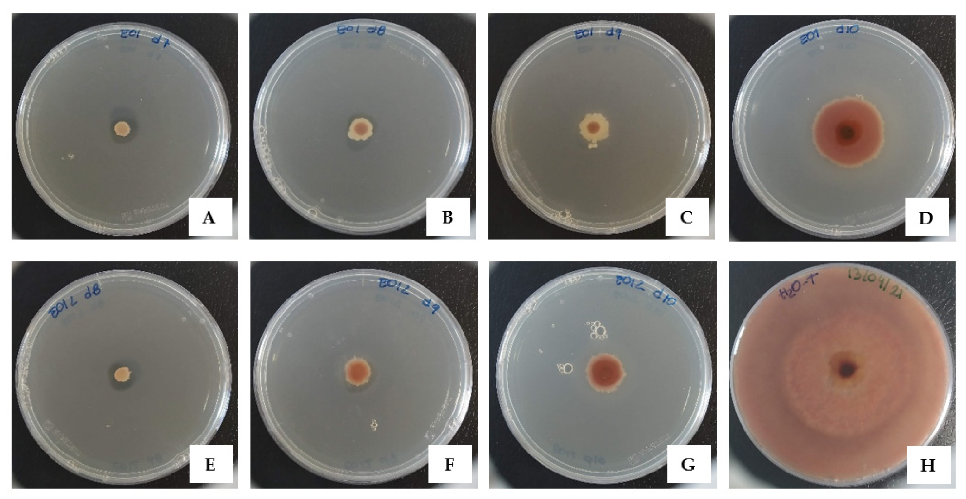 Biology 10 01091 g002 Biology 10 01091 g002