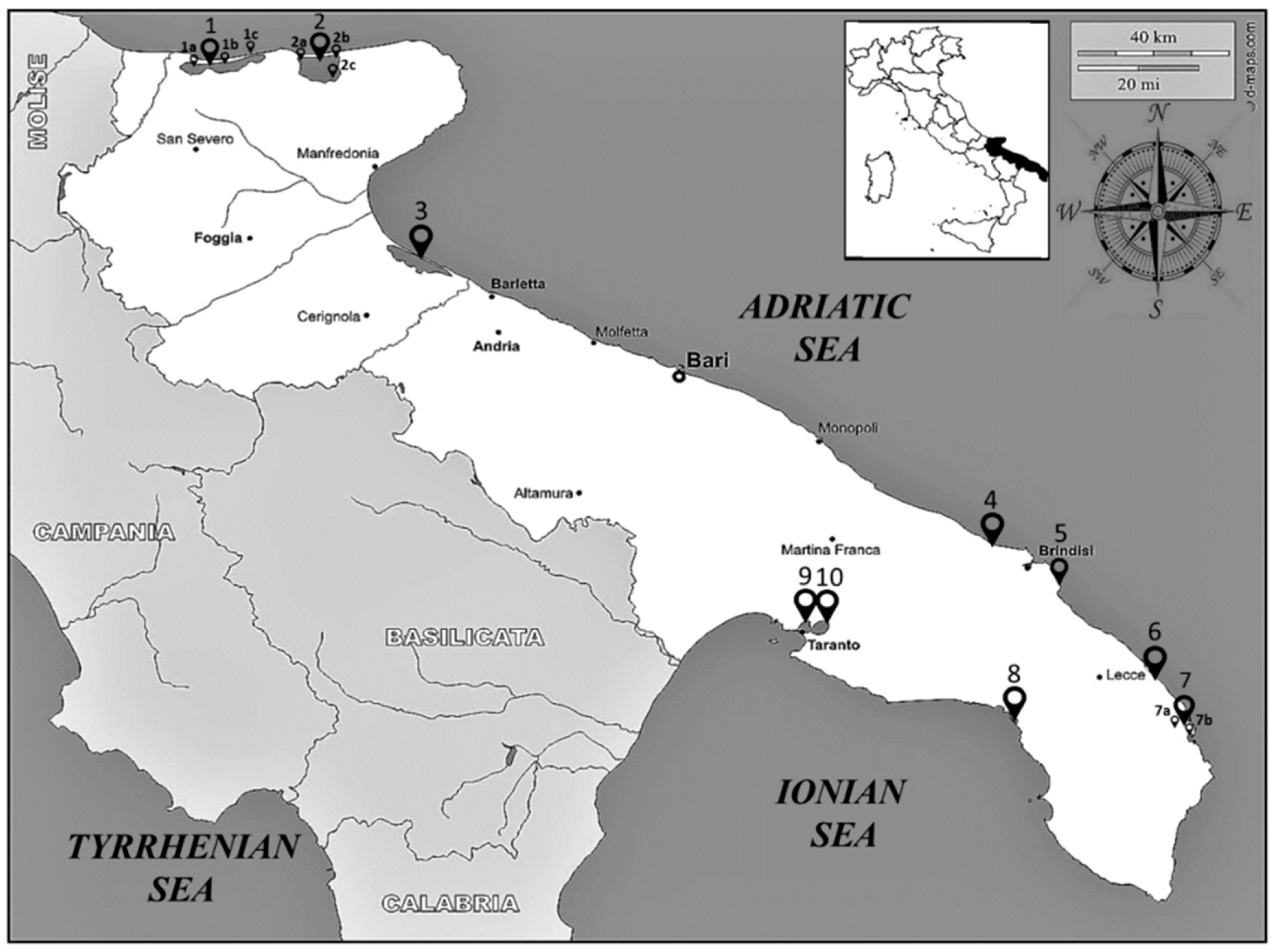 Biology 10 01092 g001