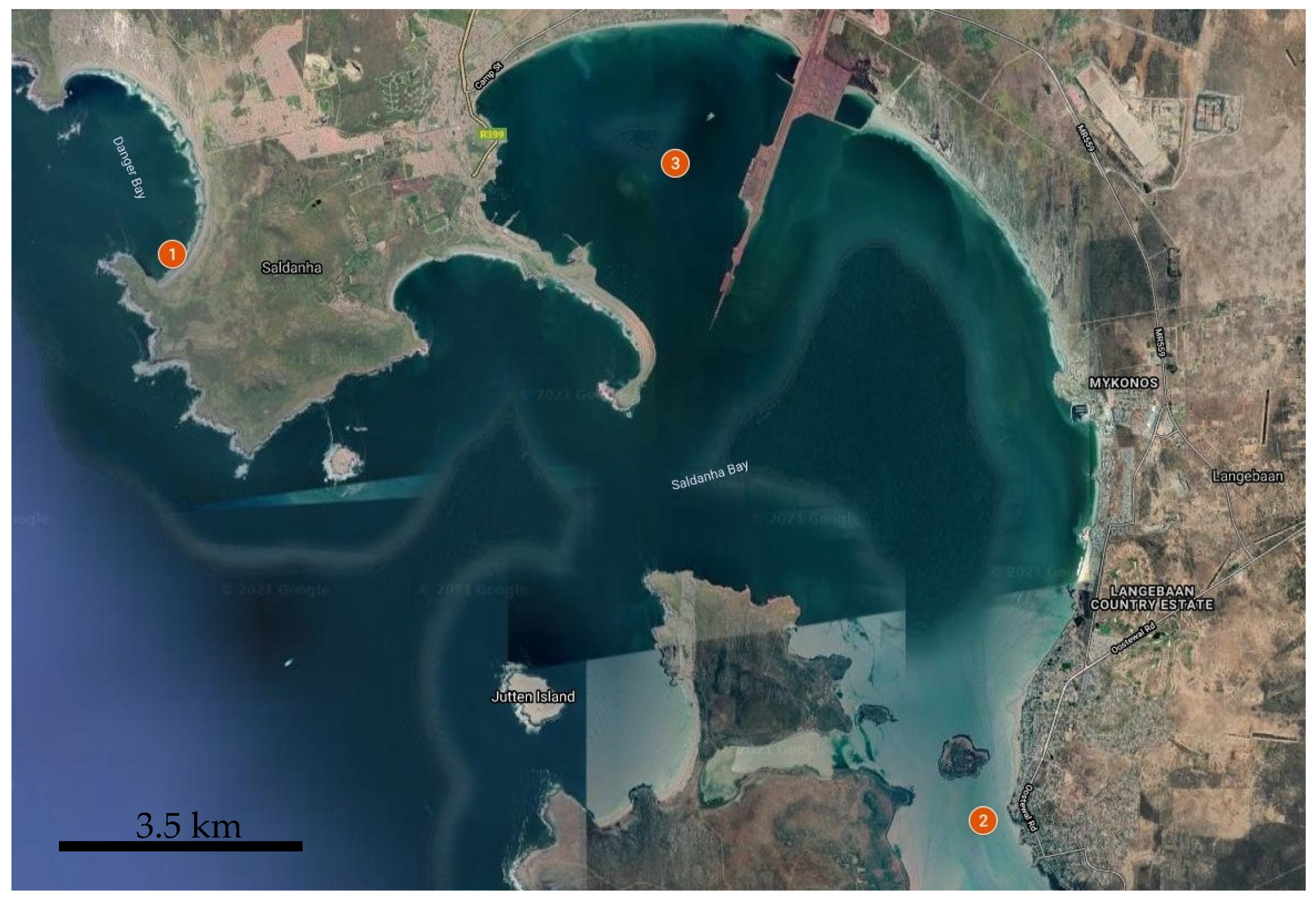 Biology 10 01093 g001