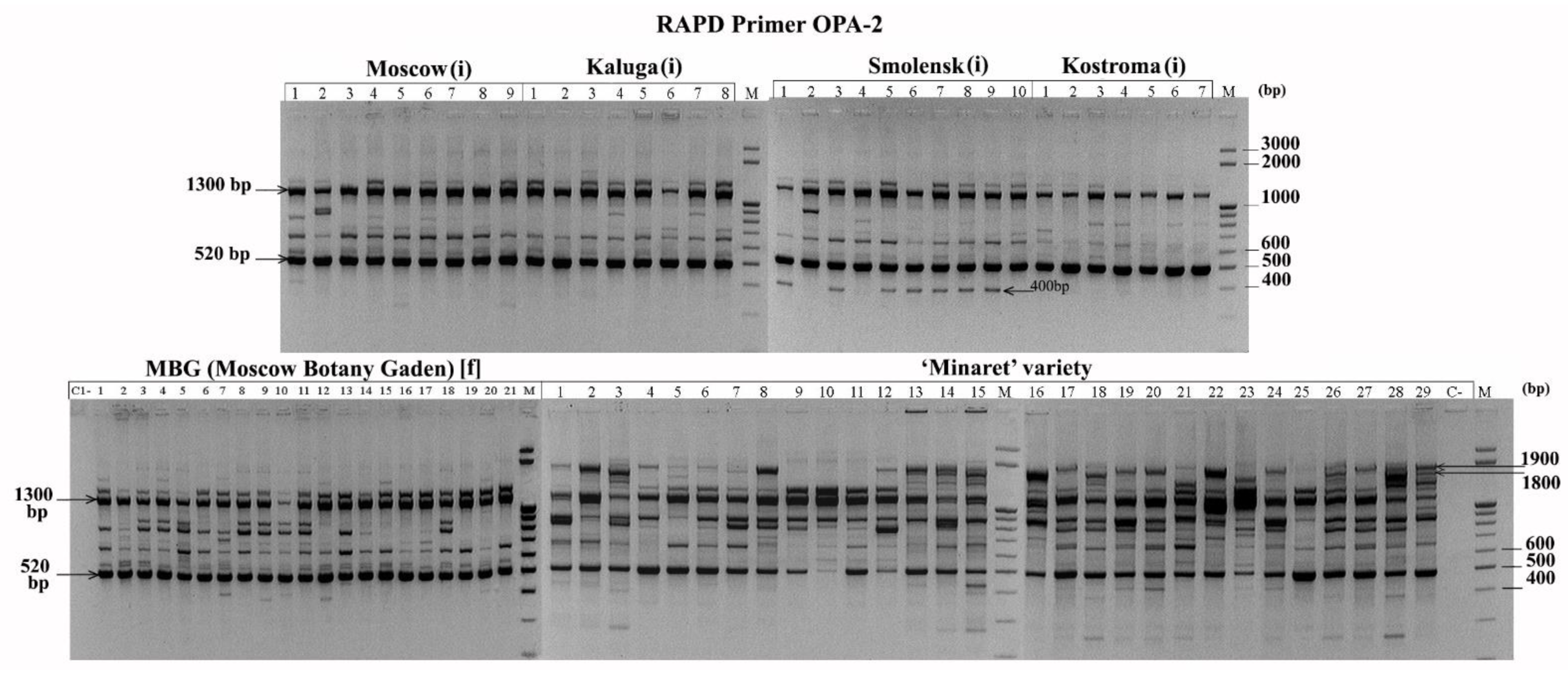 Biology 10 01094 g001