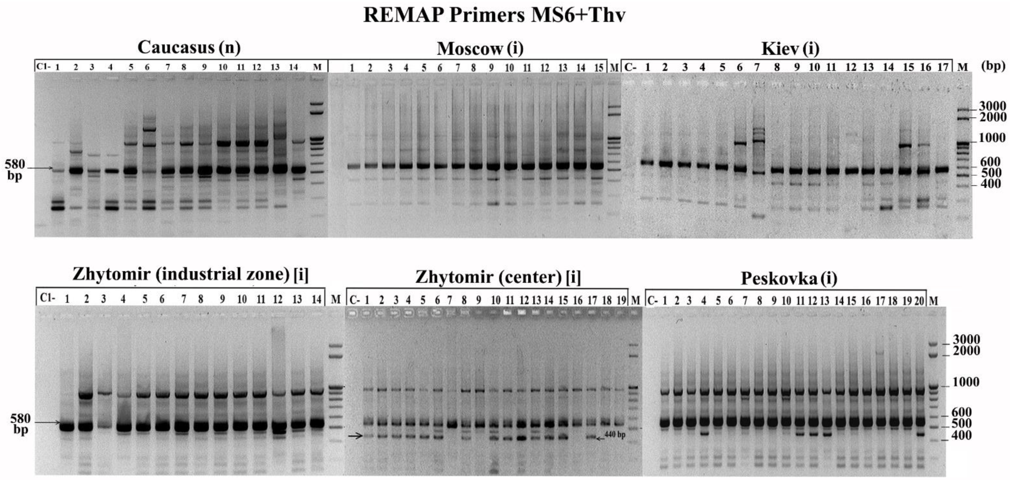 Biology 10 01094 g004