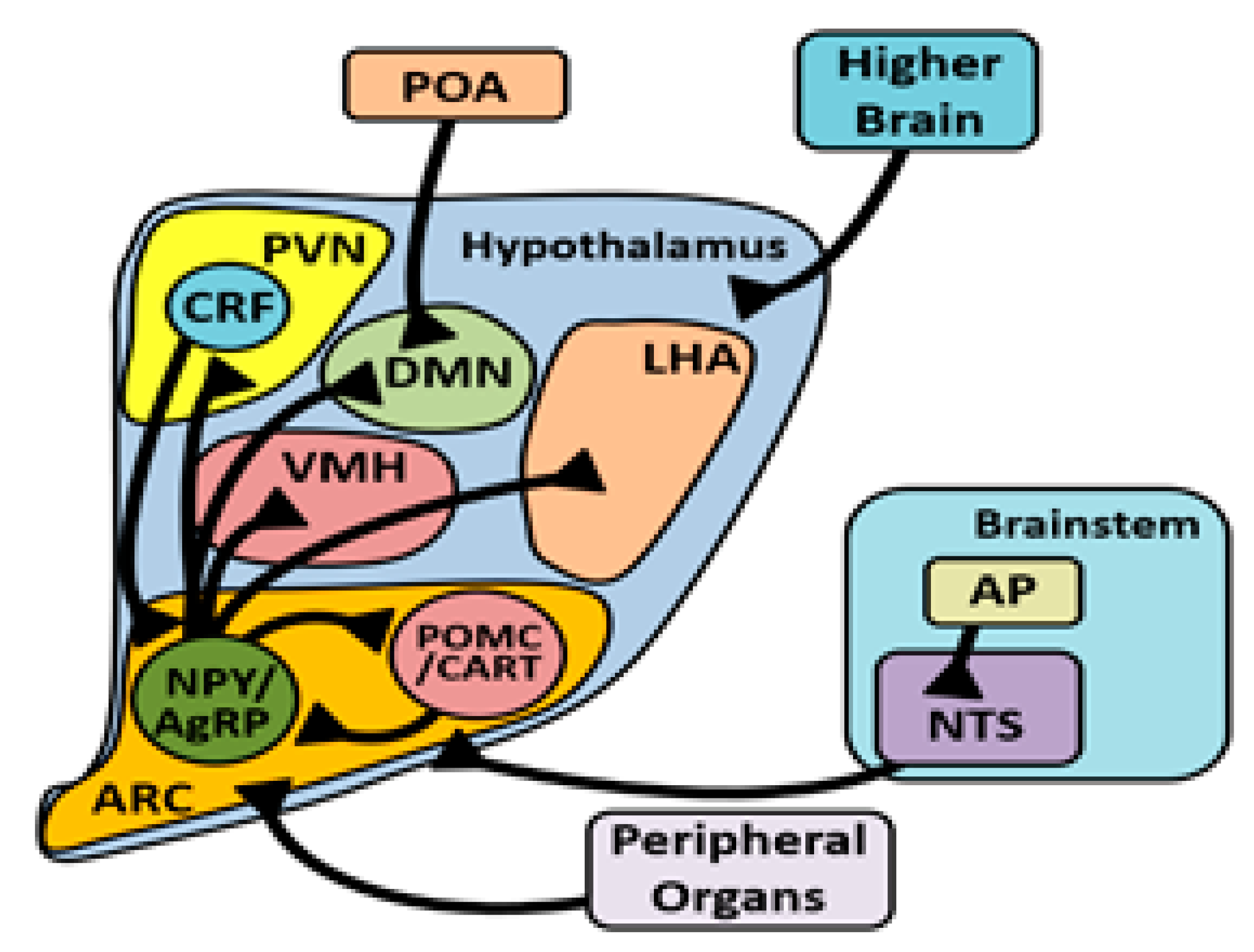 Biology 10 01095 g002