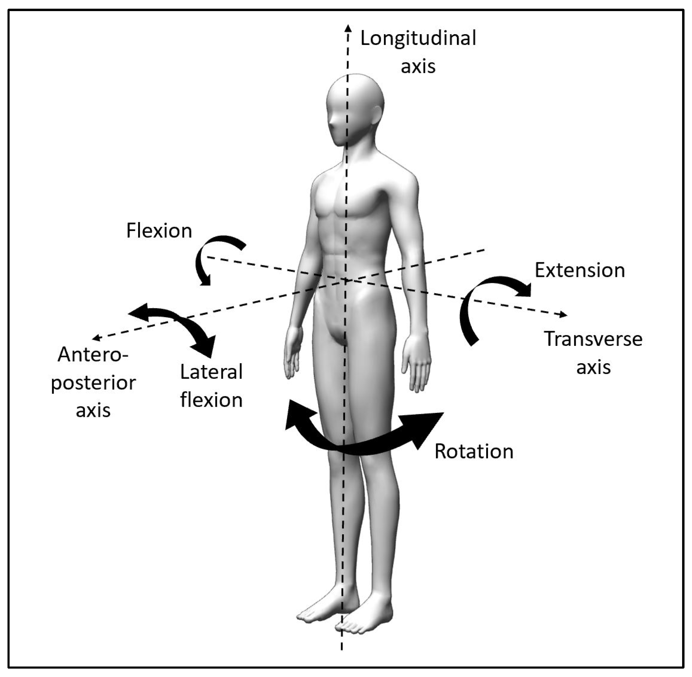 Biology 10 01096 g002