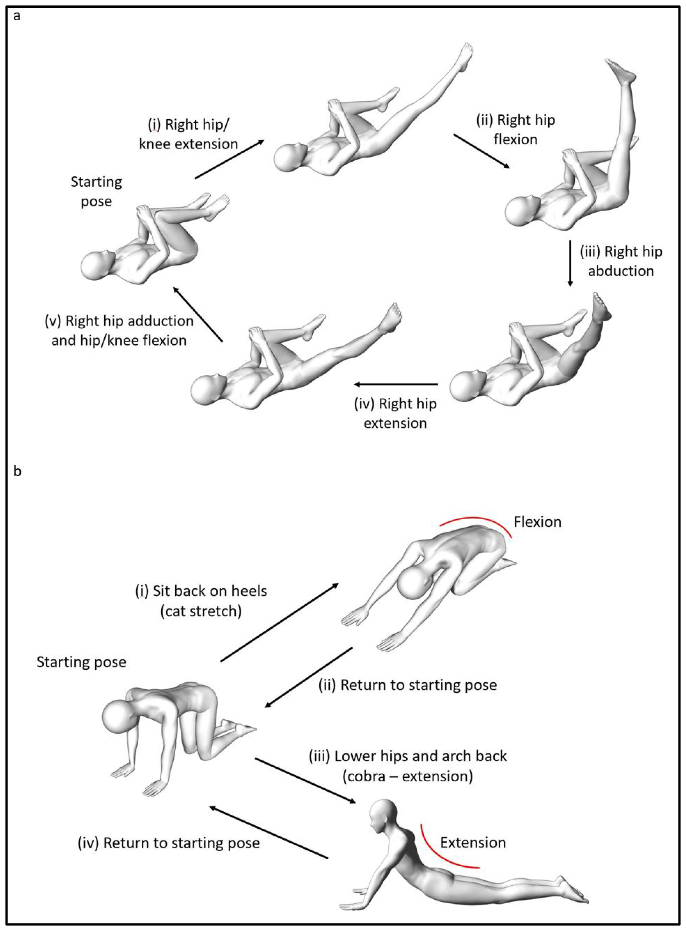Biology 10 01096 g006