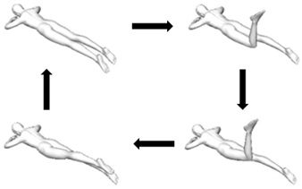 Biology 10 01096 i004