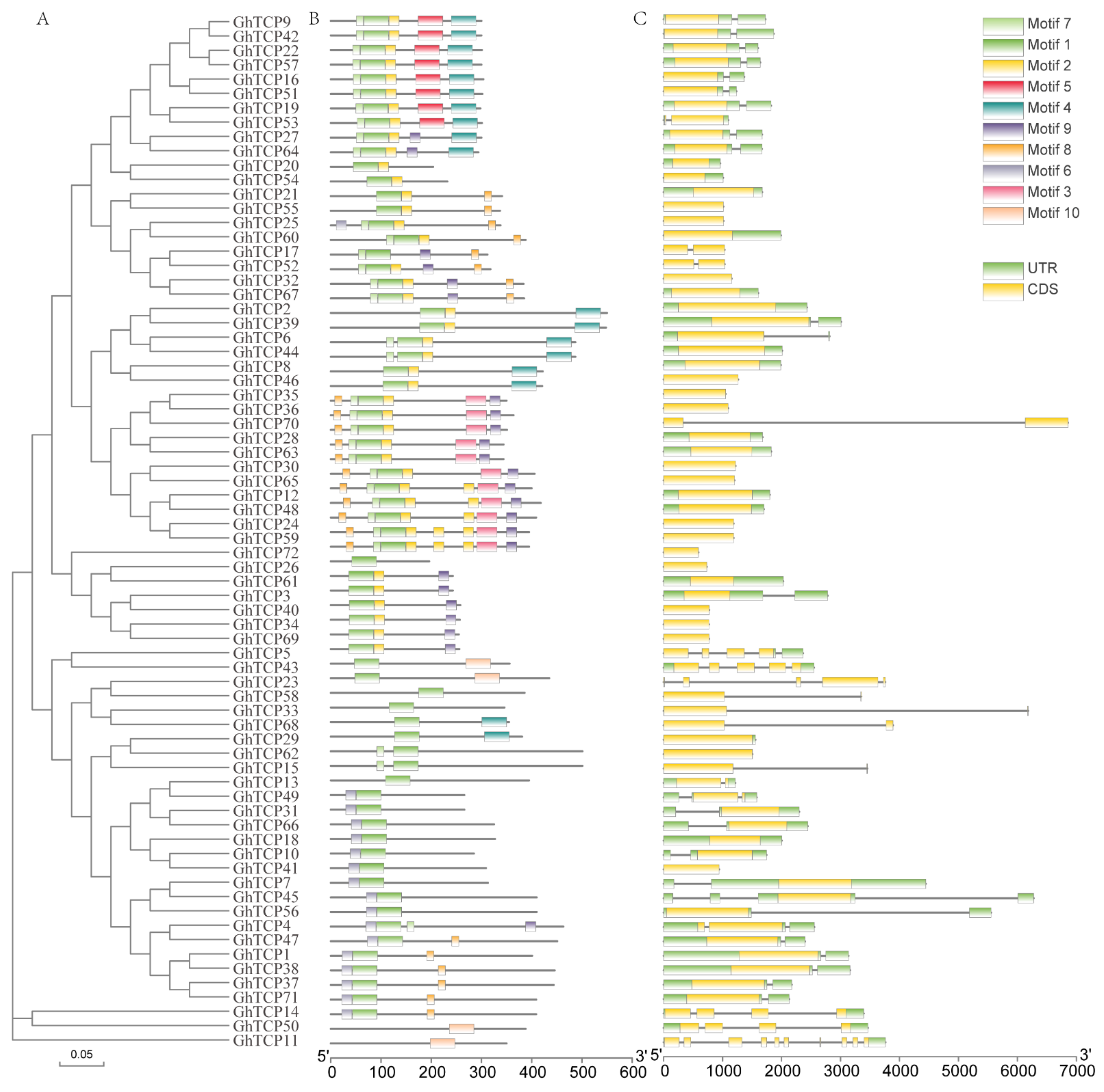 Biology 10 01104 g002