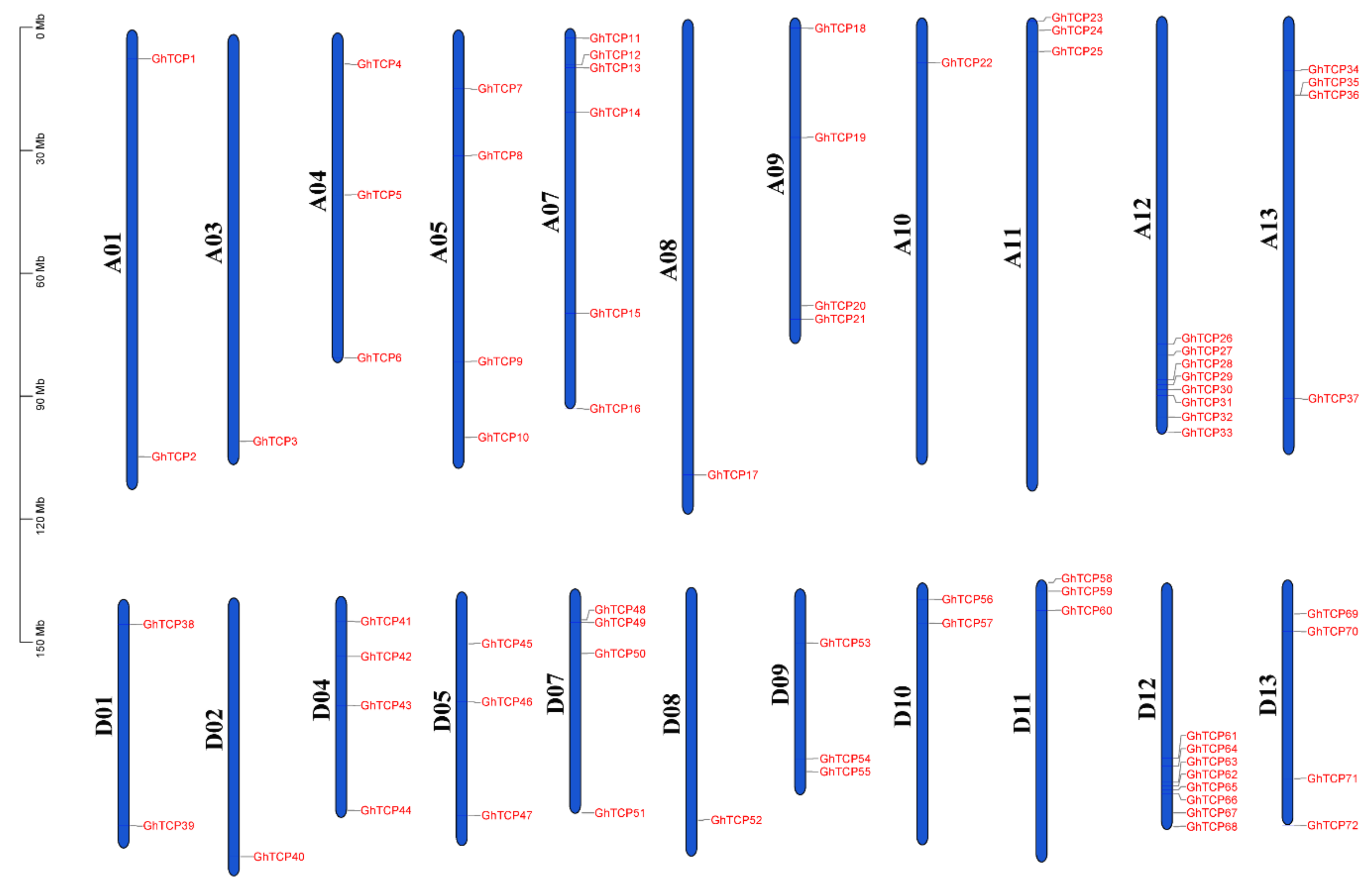 Biology 10 01104 g004