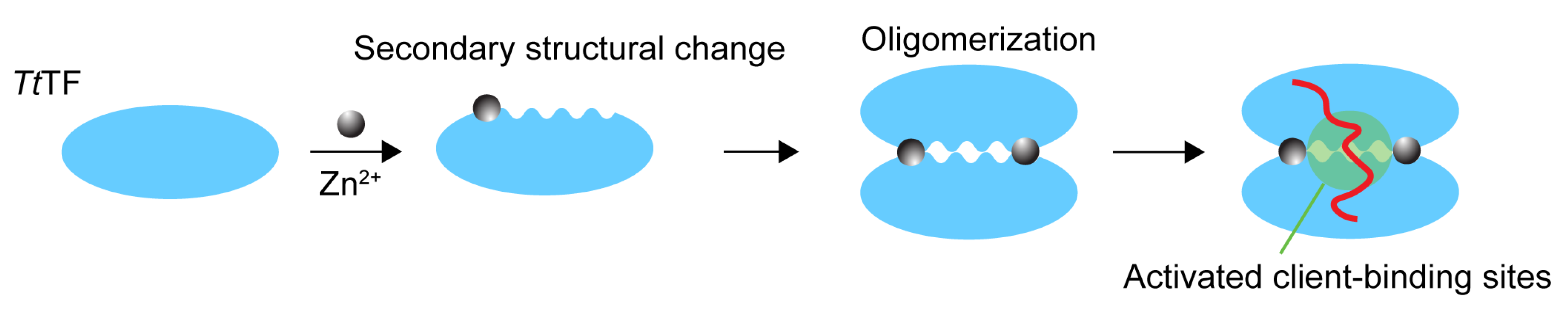 Biology 10 01106 g005 Biology 10 01106 g005