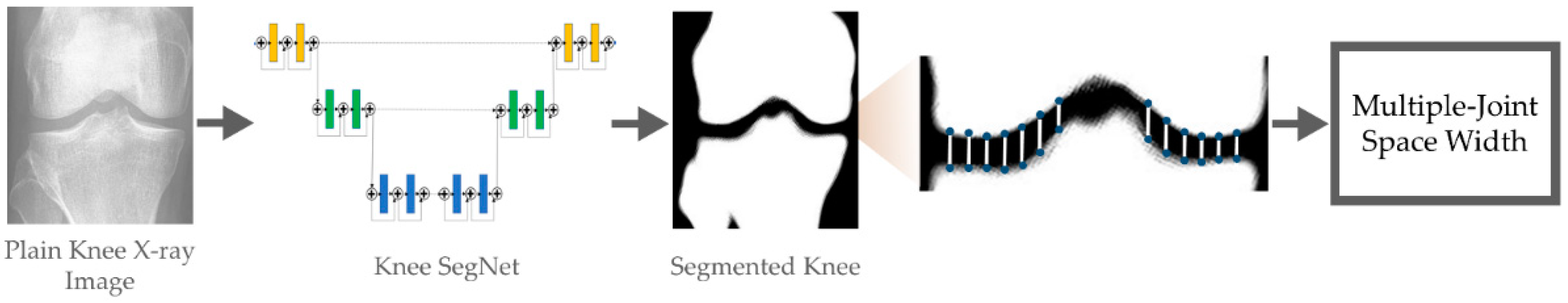 Biology 10 01107 g001