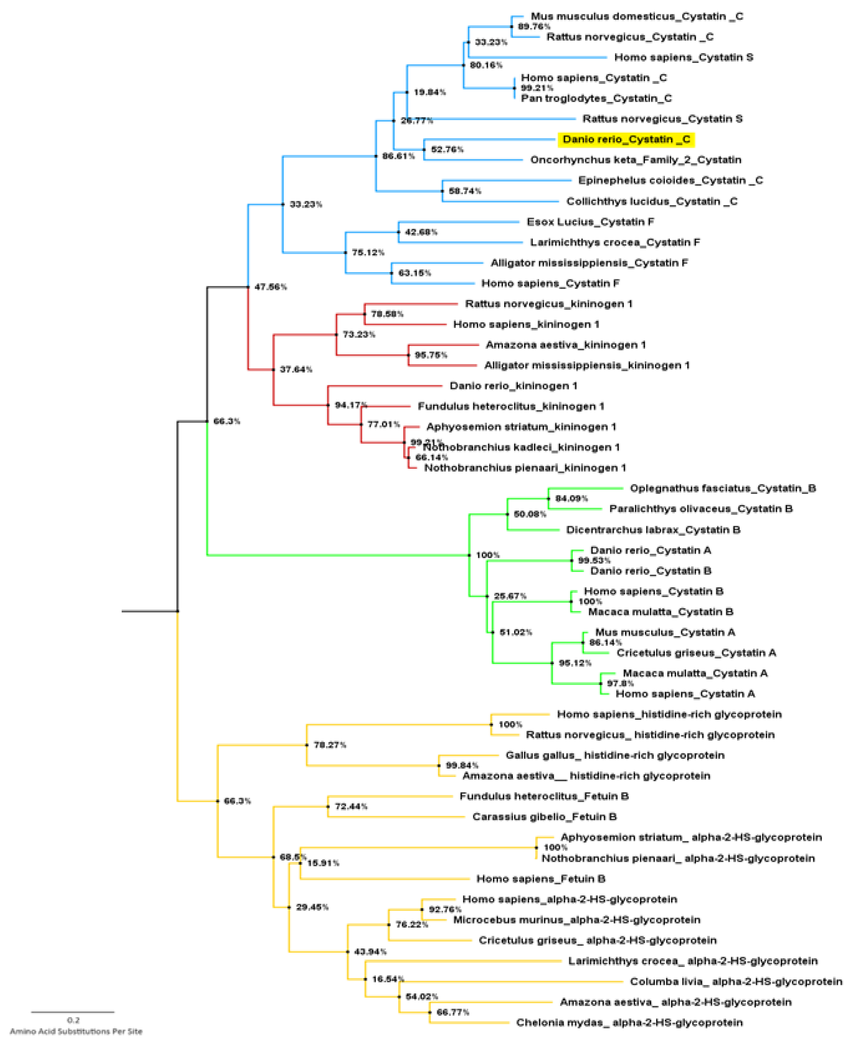 Biology 10 01113 g002