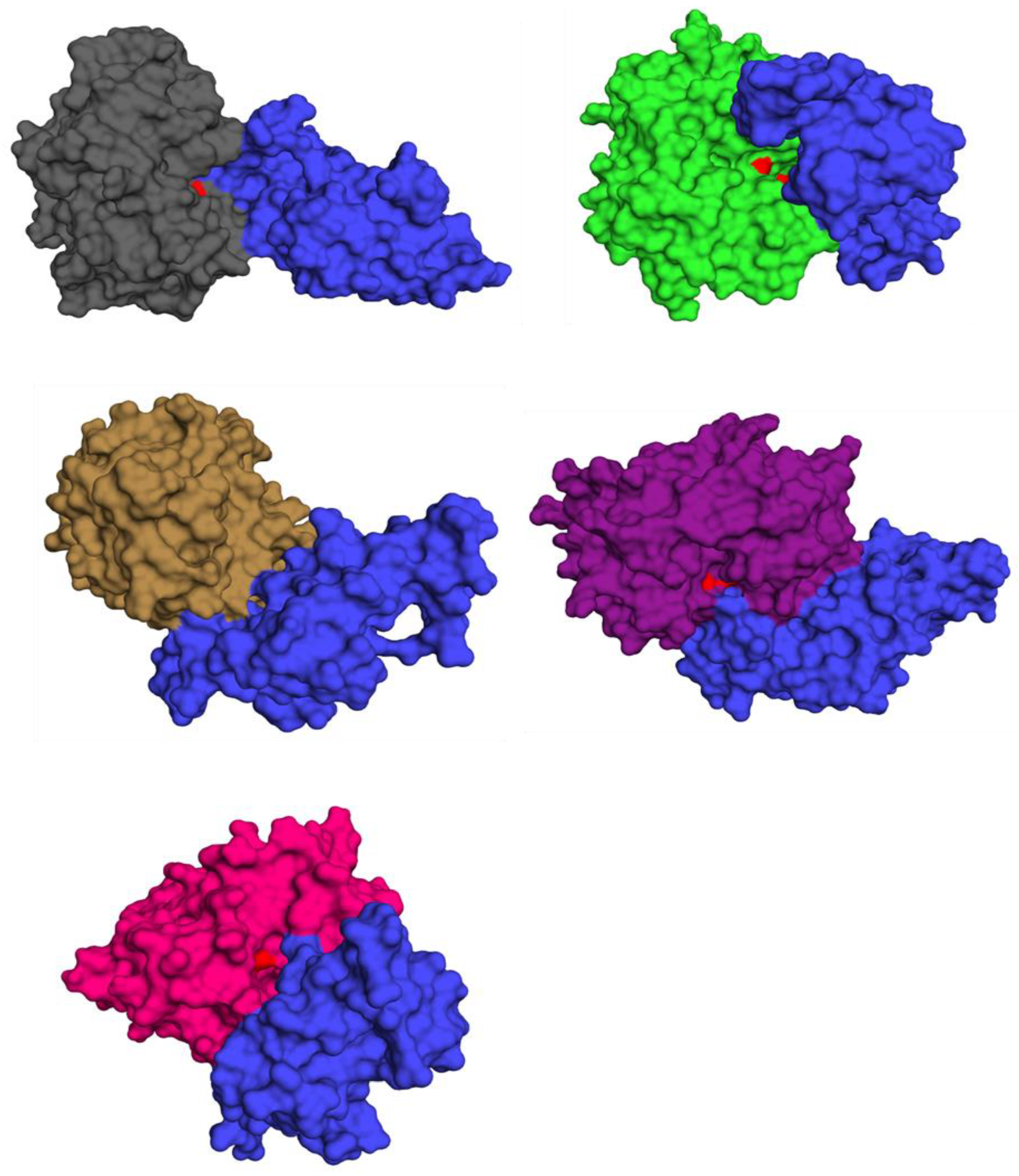 Biology 10 01113 g008