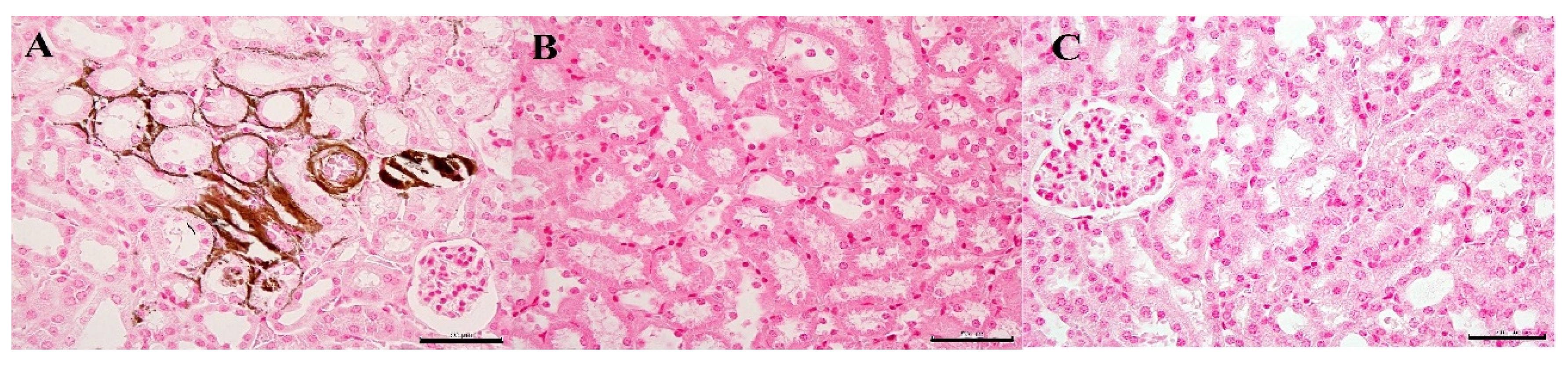 Biology 10 01116 g005