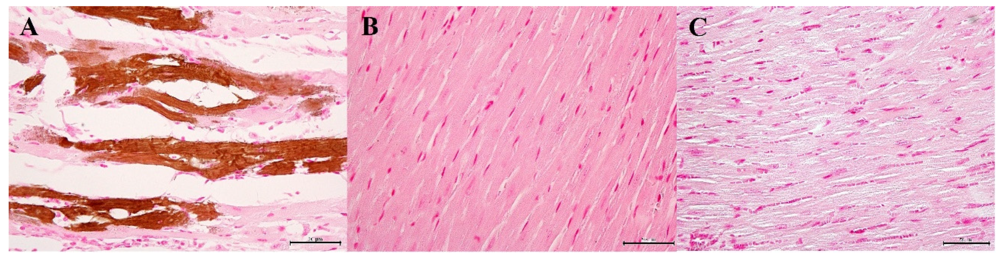 Biology 10 01116 g006