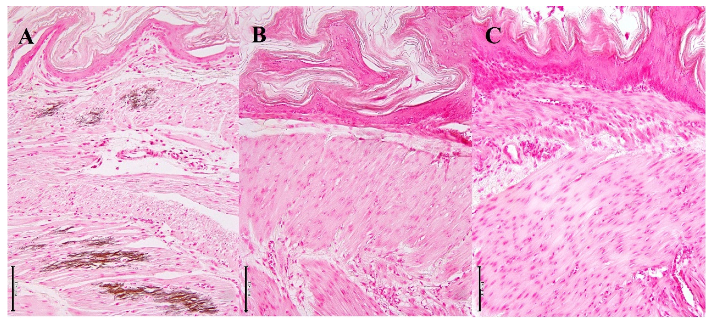 Biology 10 01116 g007