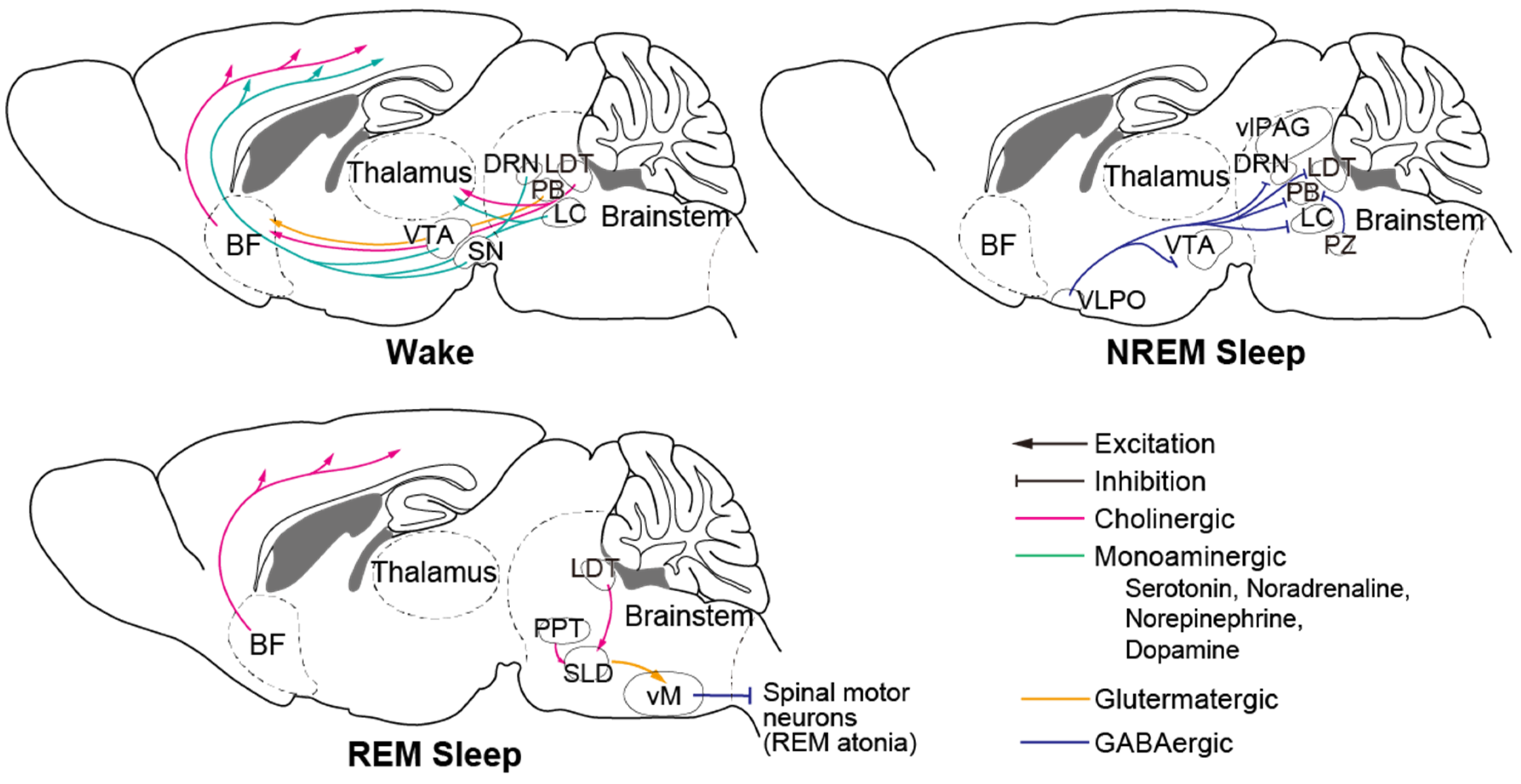Biology 10 01127 g002