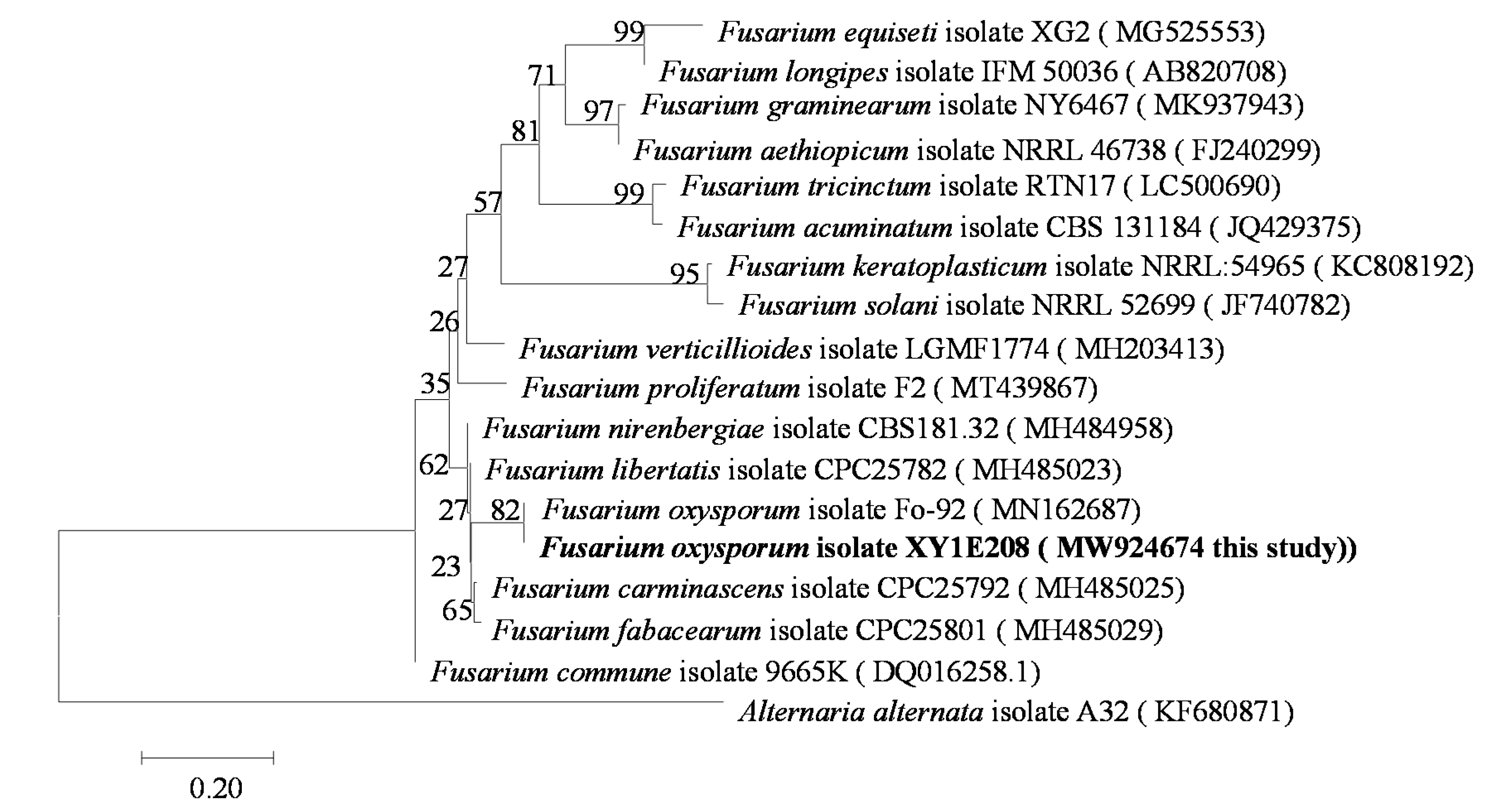 Biology 10 01136 g001