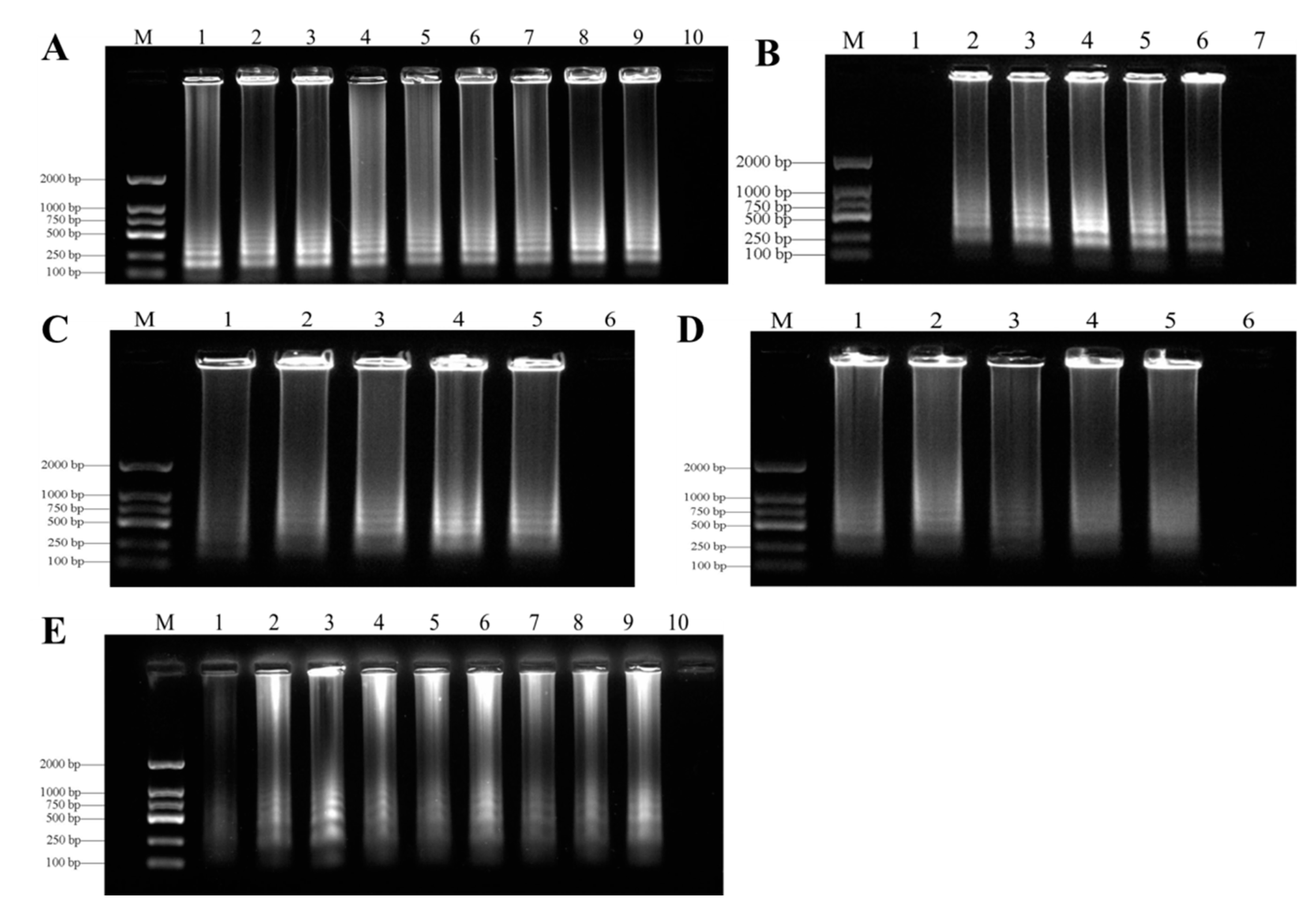 Biology 10 01136 g004